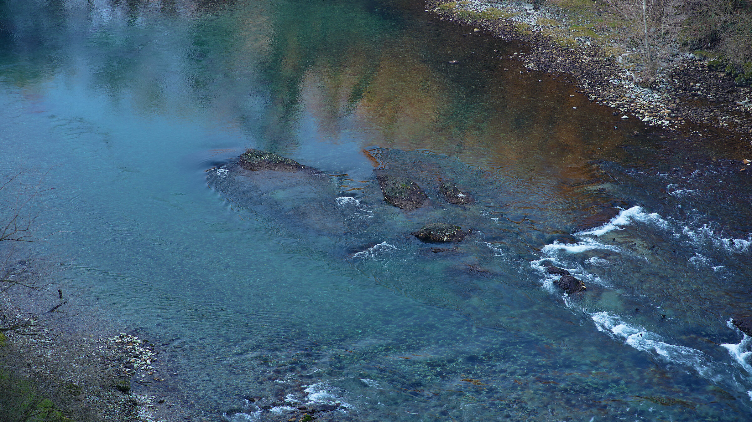 Microcontrasto & ibis