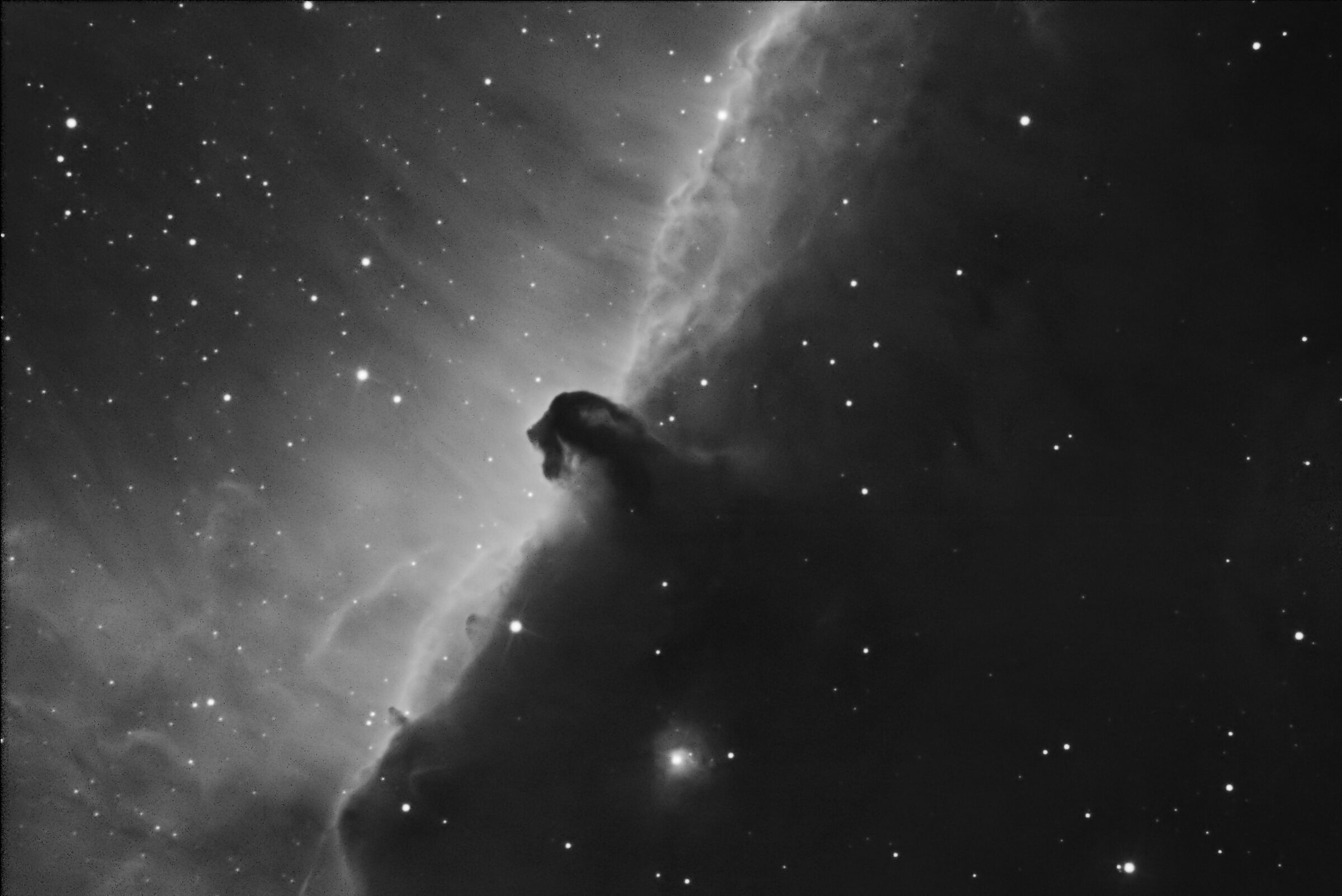 Nebulosa testa di cavallo