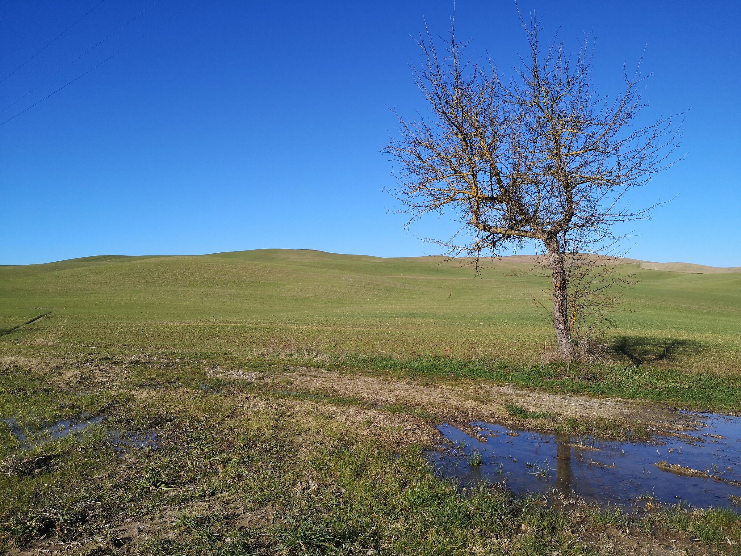 Val D'Orcia, Tuscany