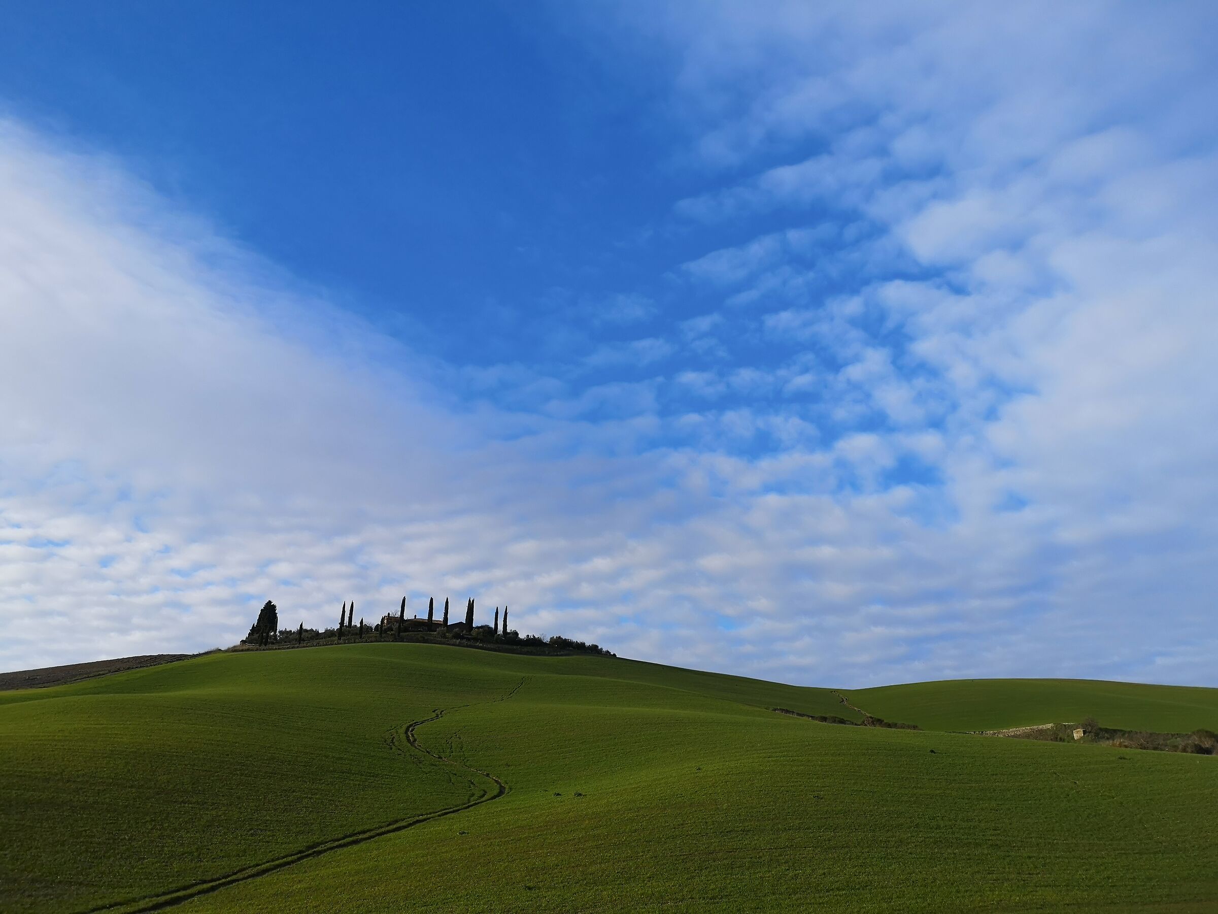 The typical Tuscany landscape, Siena provinces
