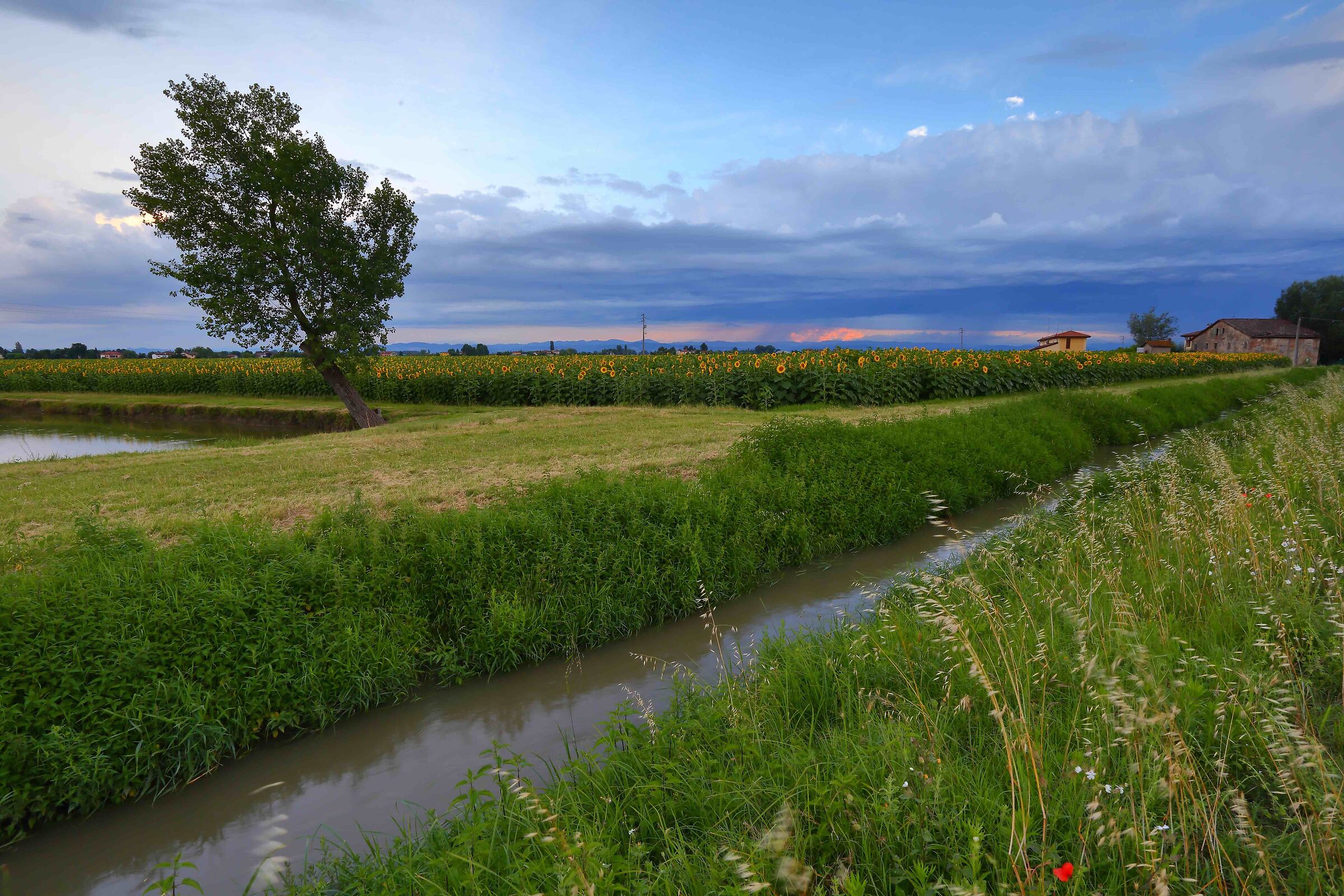 Sky, water and green