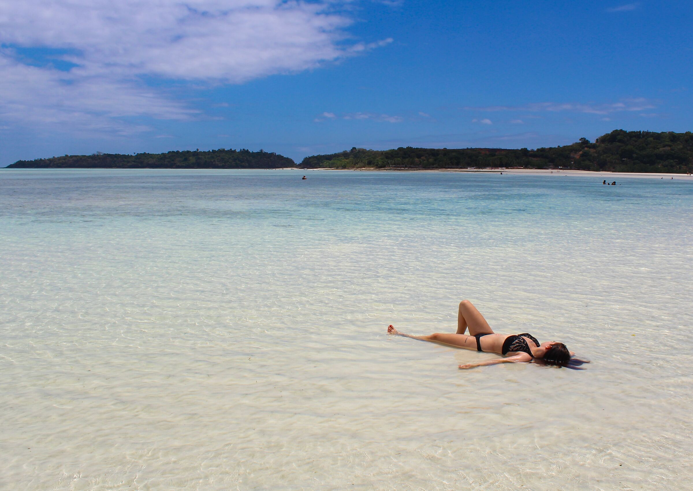 L'isola delle Tartarughe