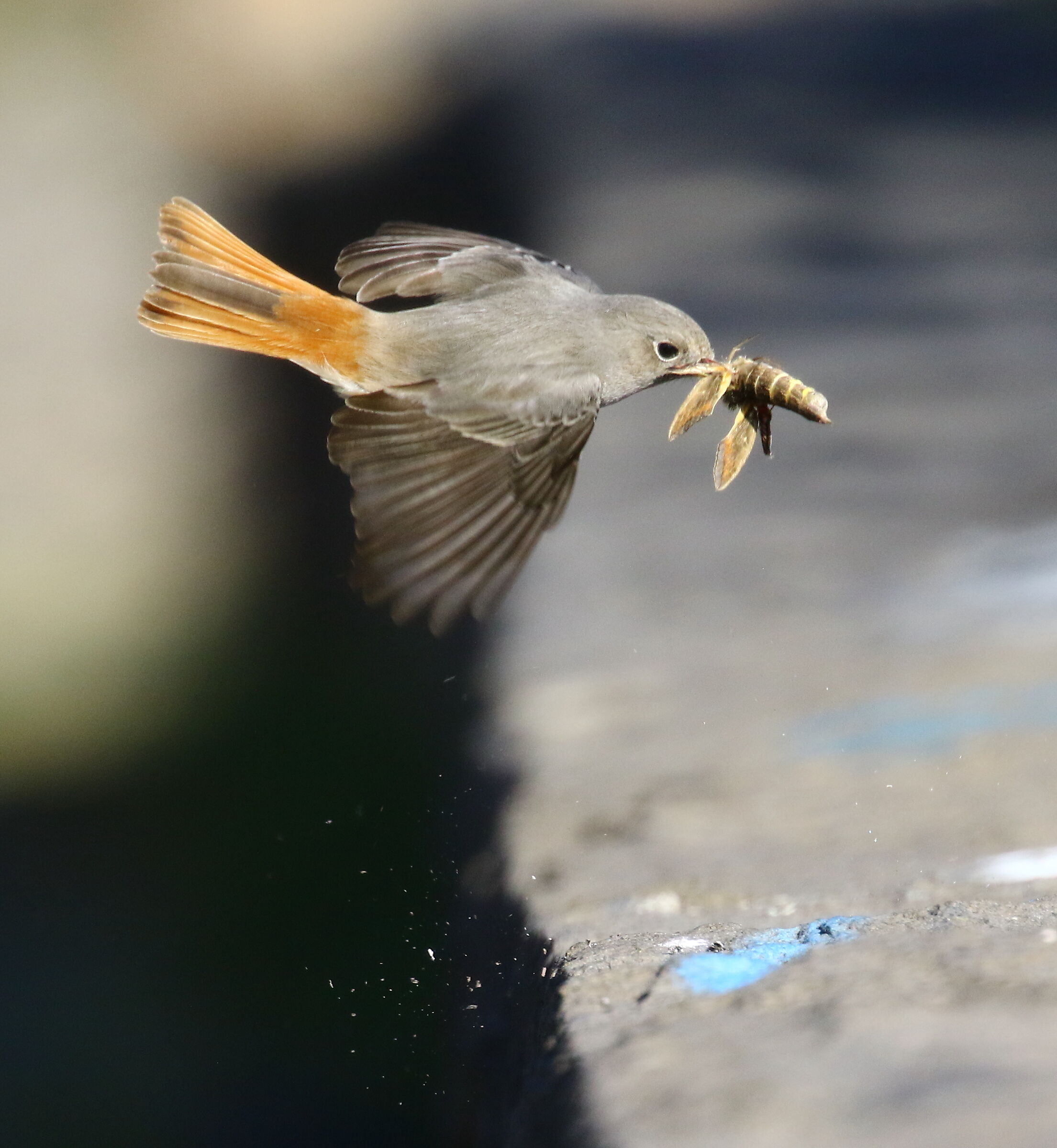 The catch of the day