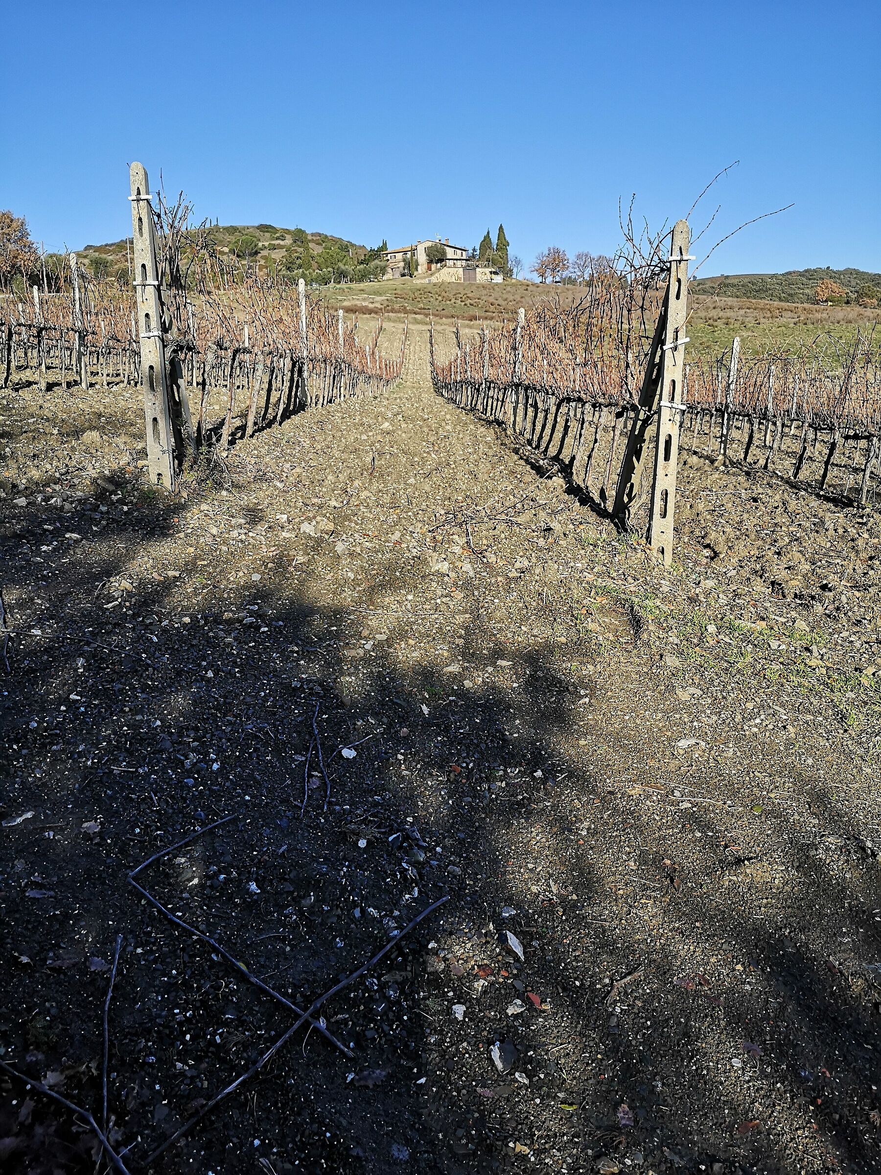 Agricolture house in Tuscany