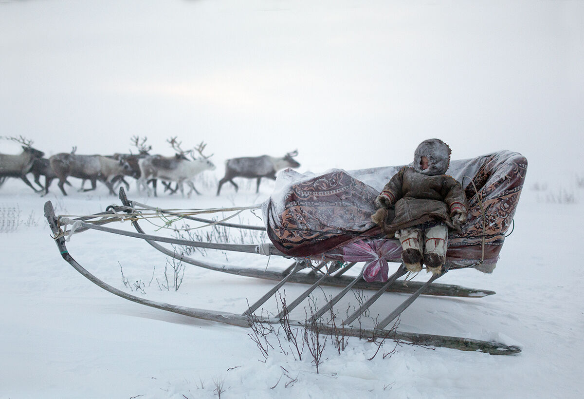 Siberian tundra storm