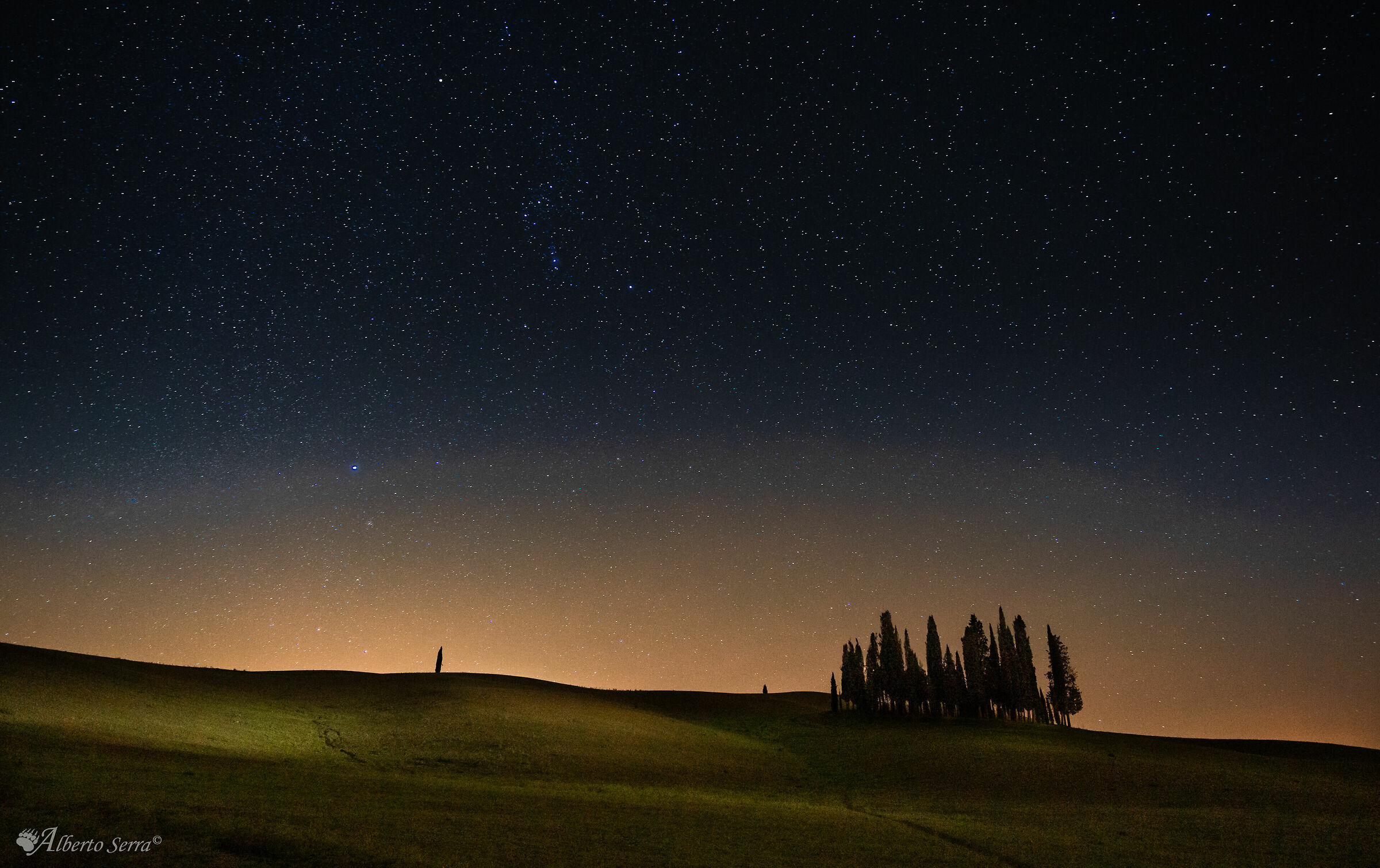 Cipressi sotto le stelle