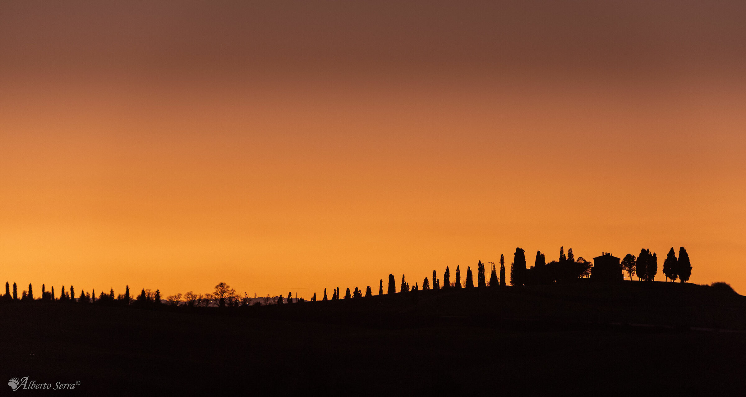 Tuscan silhouette