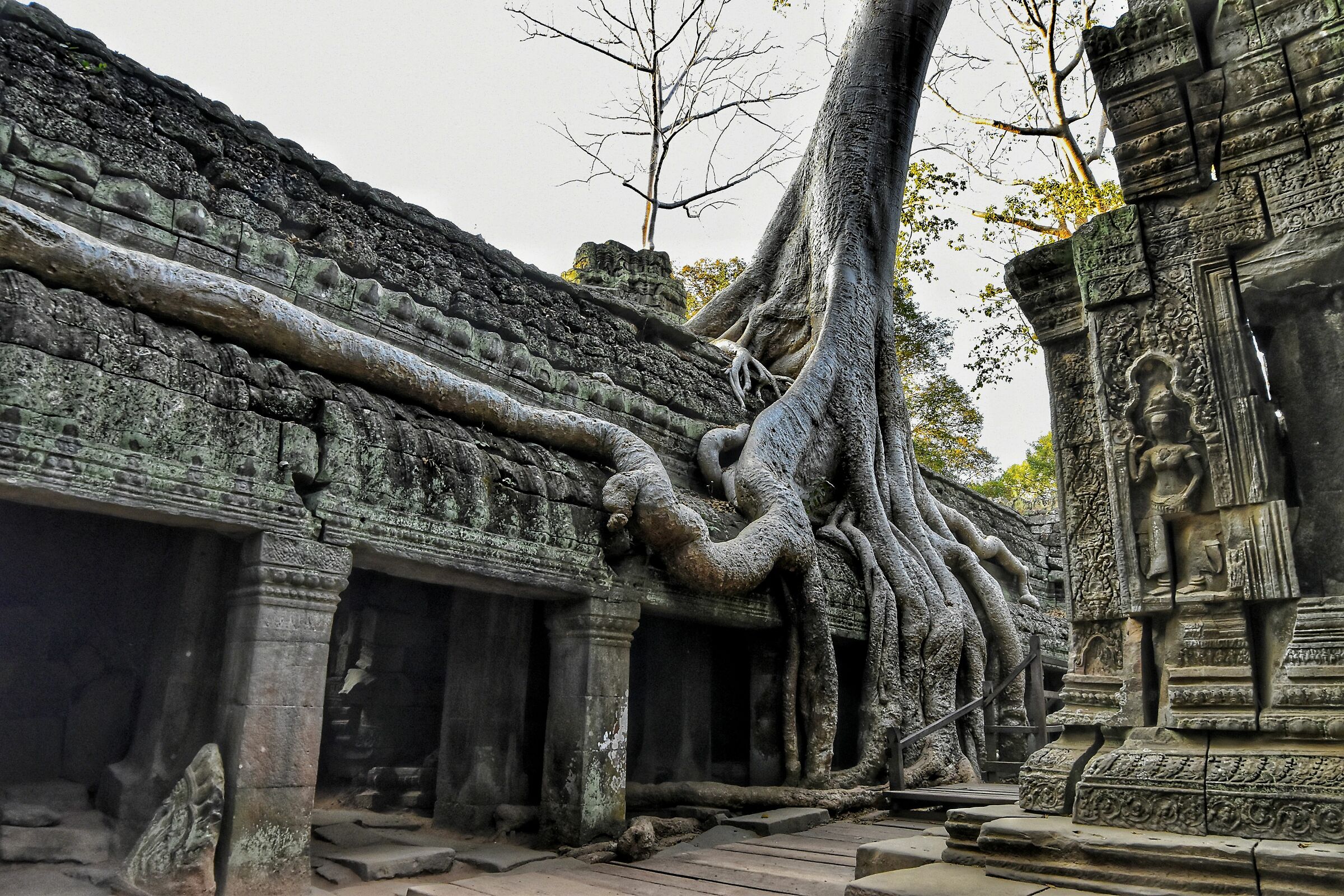 When nature still has something to say