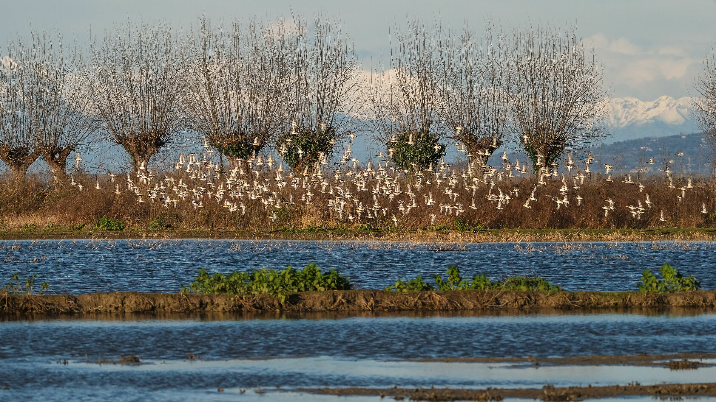 oasi di Racconigi 2019