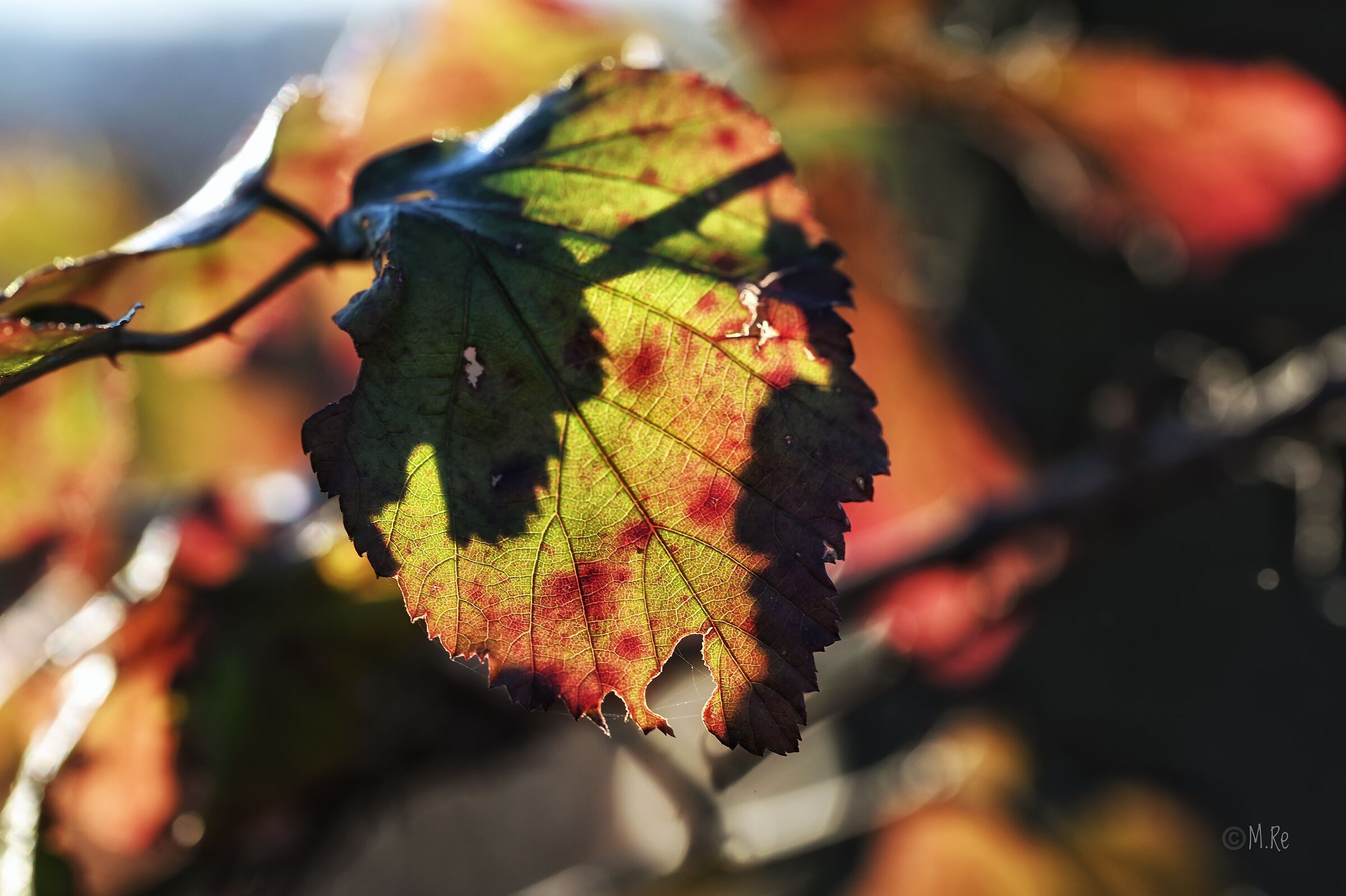 Colours 3