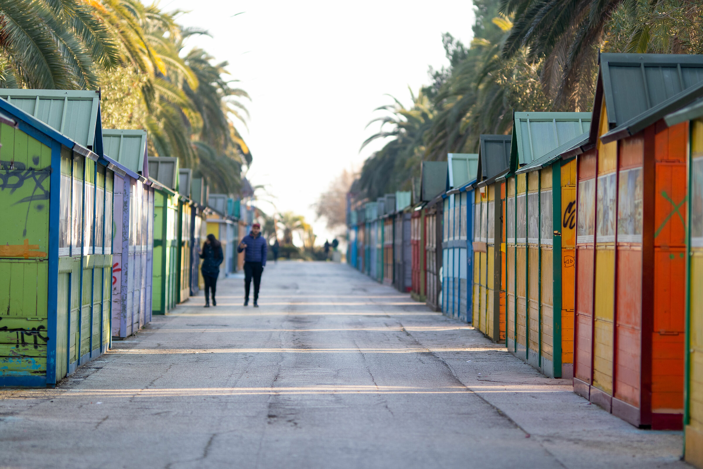 stalls in St. Benedict del Tronto