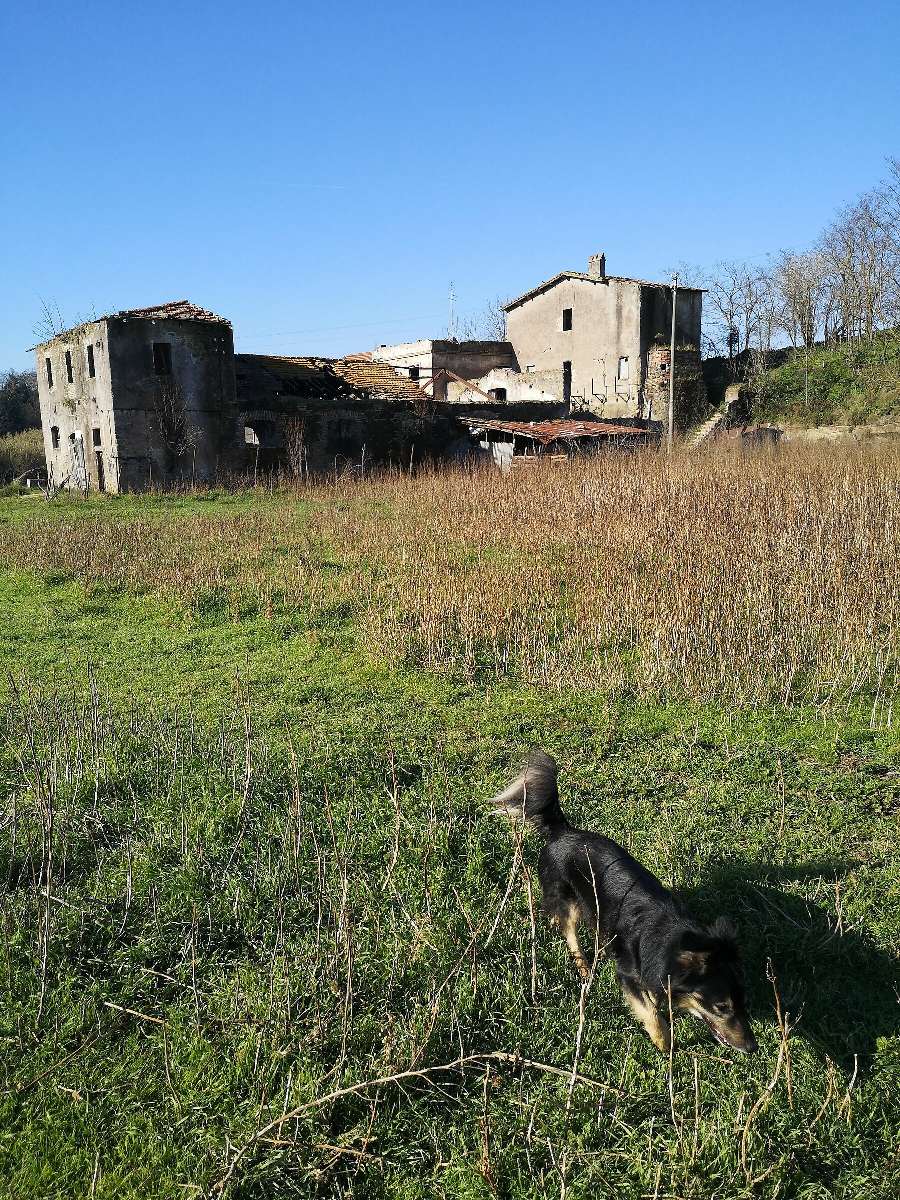 Countryside of Rome, Ancient Appia