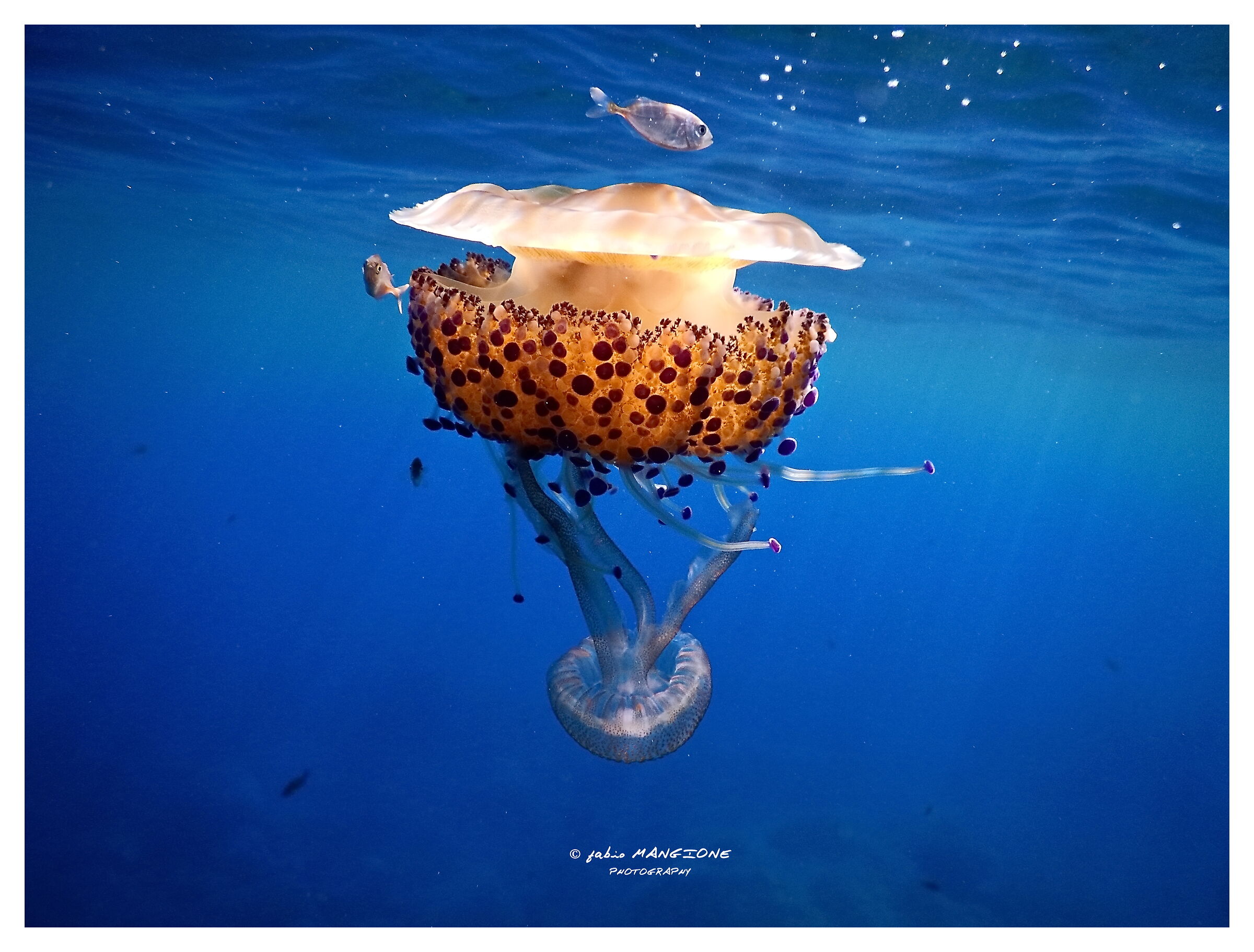 Questione di corrente