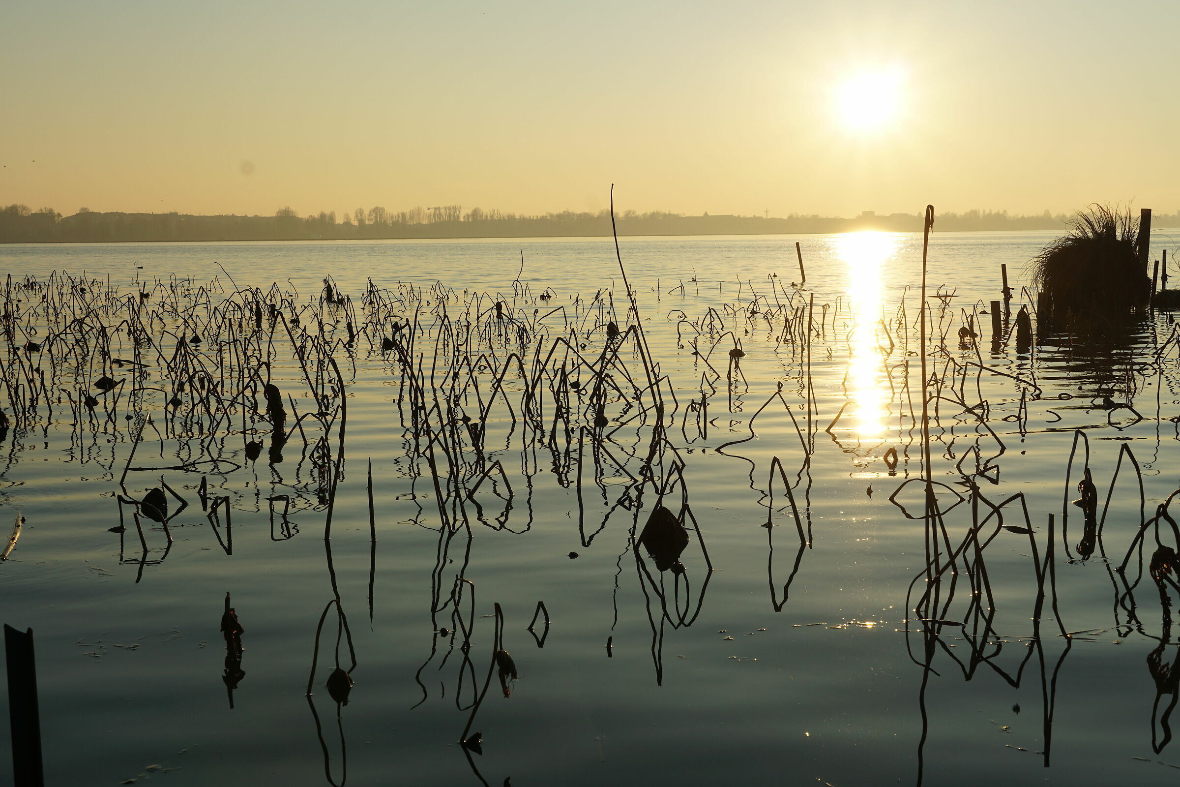 Laghi di mantova