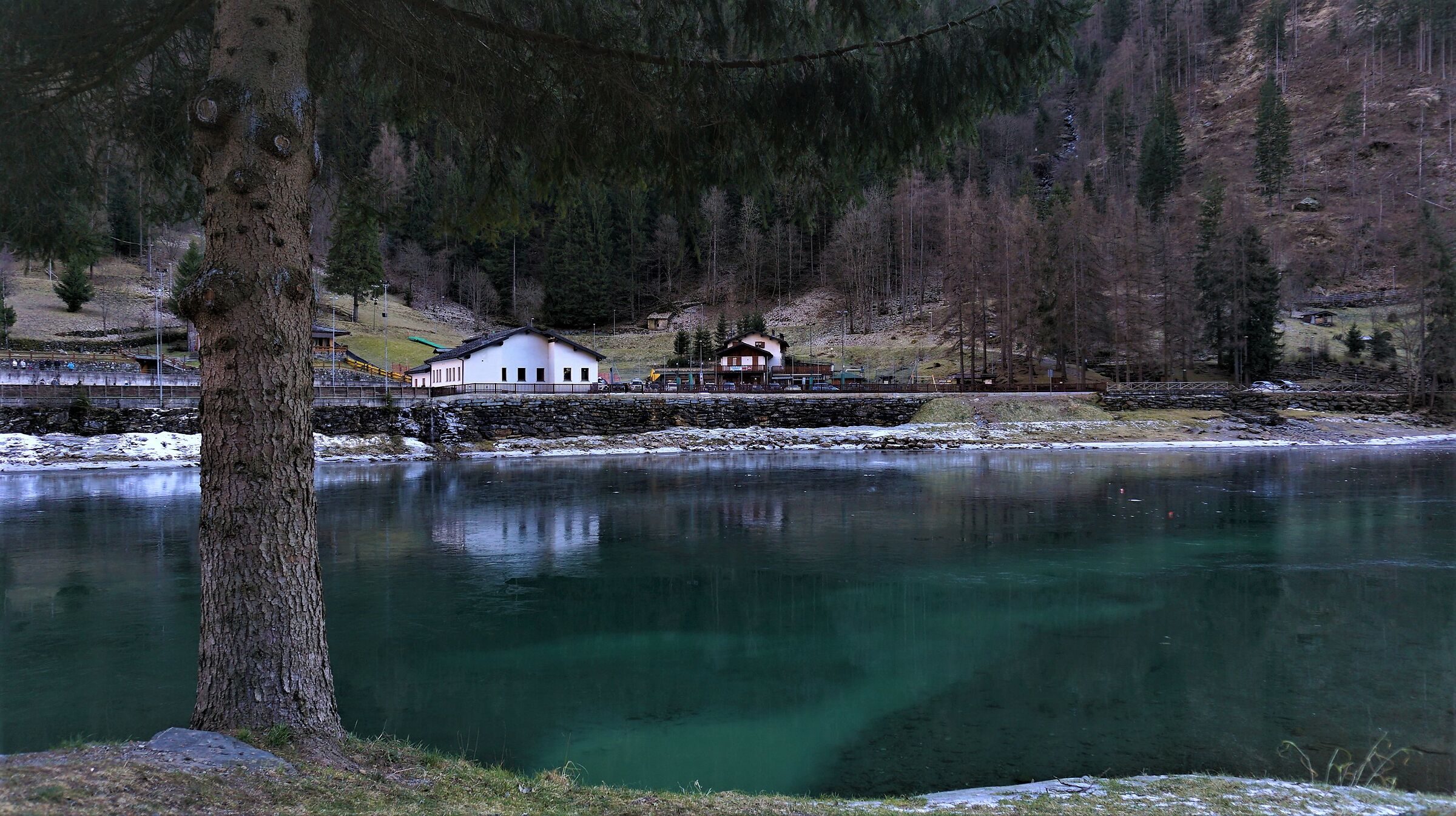 Nature in its shades of green