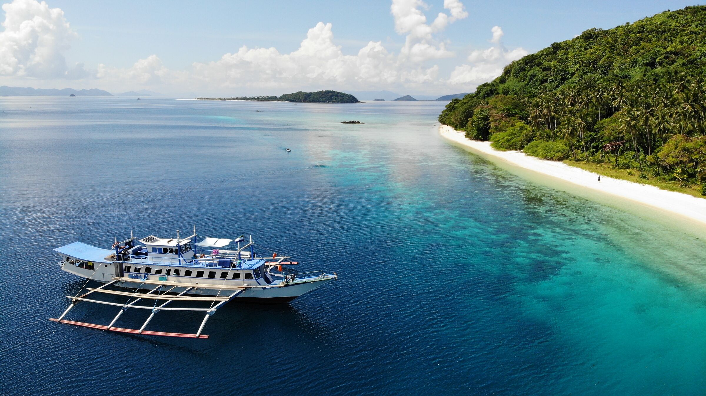 Lupia dell'isola di Palawan