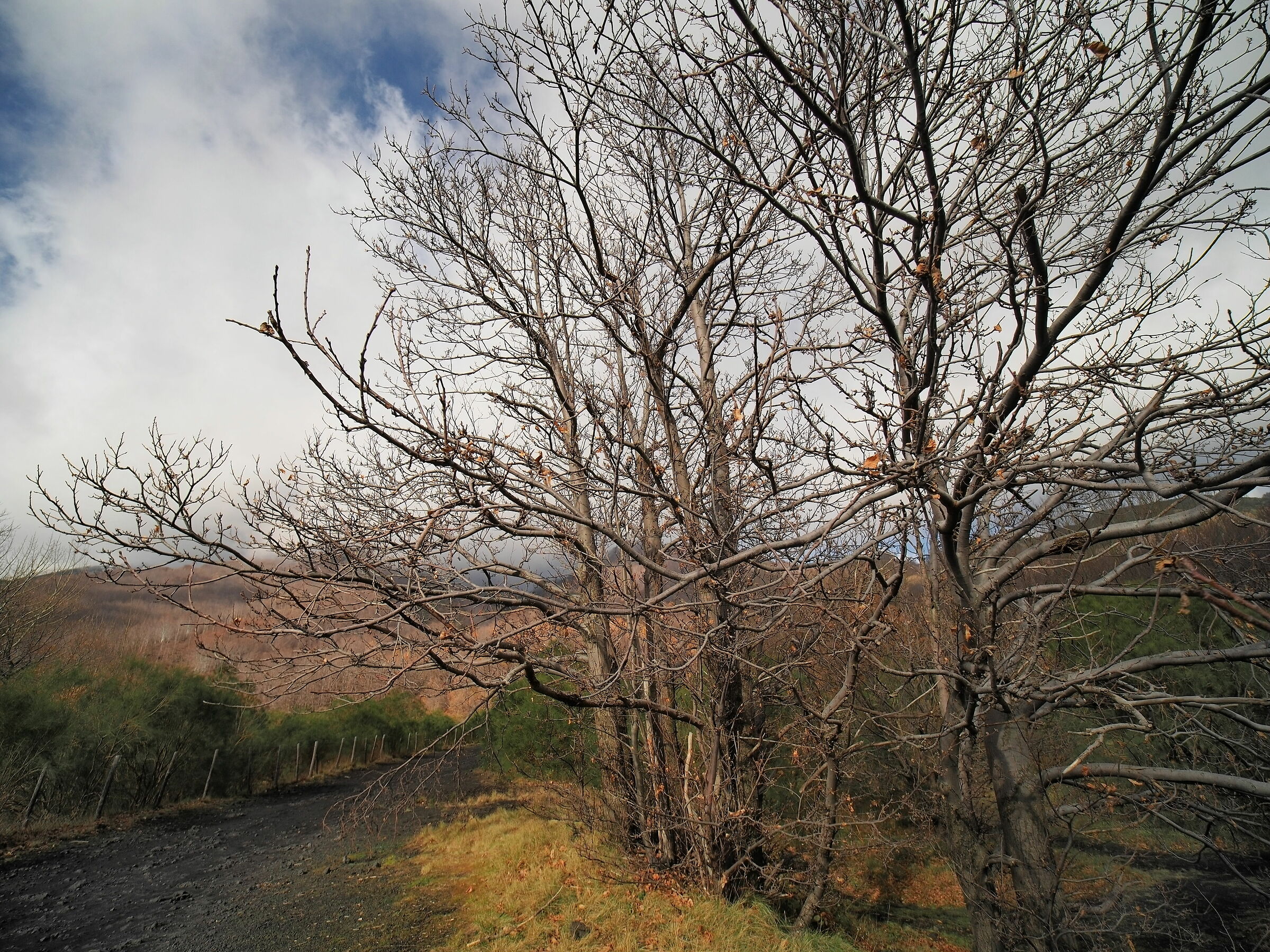 The last days of autumn