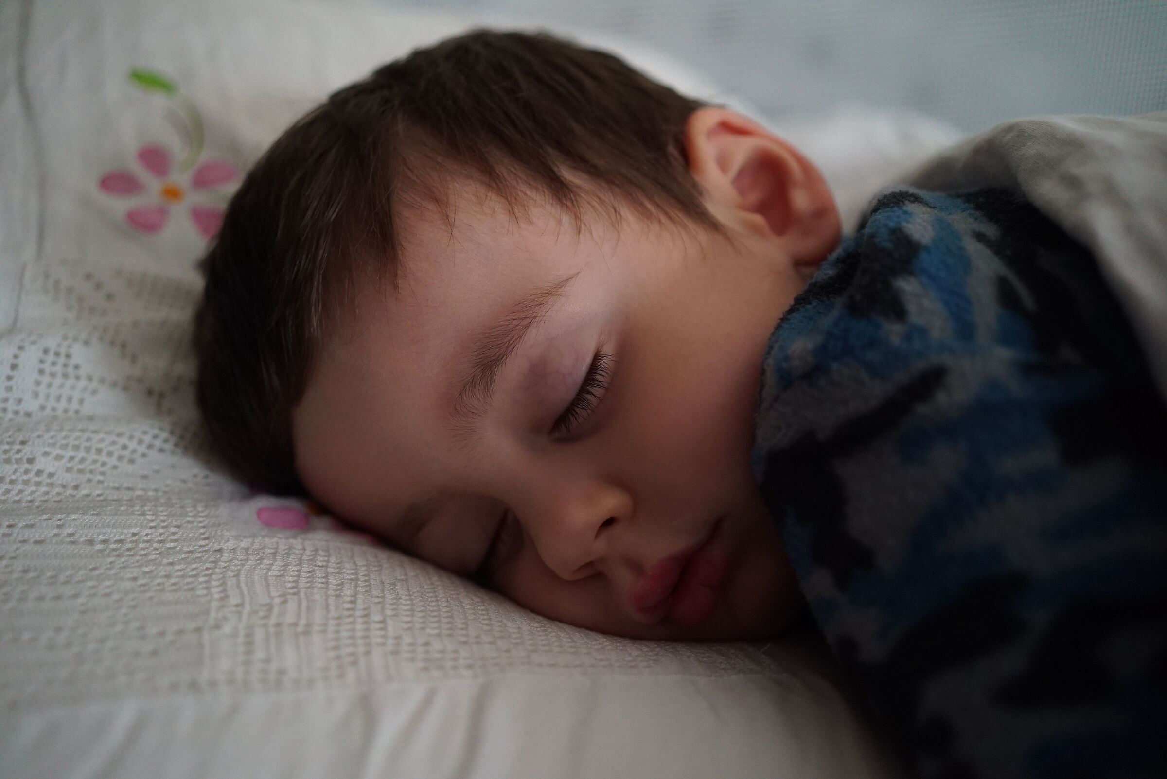 Golden dreams Martino!