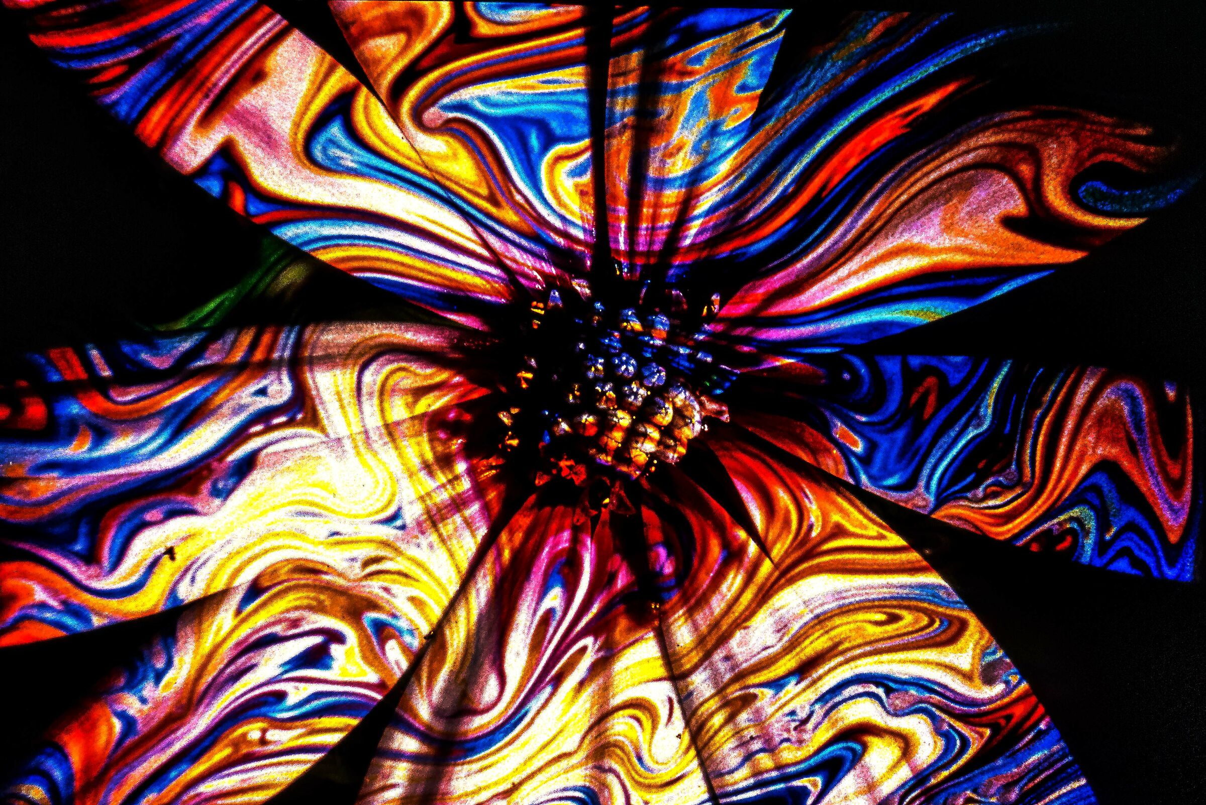 il fiore....colorato