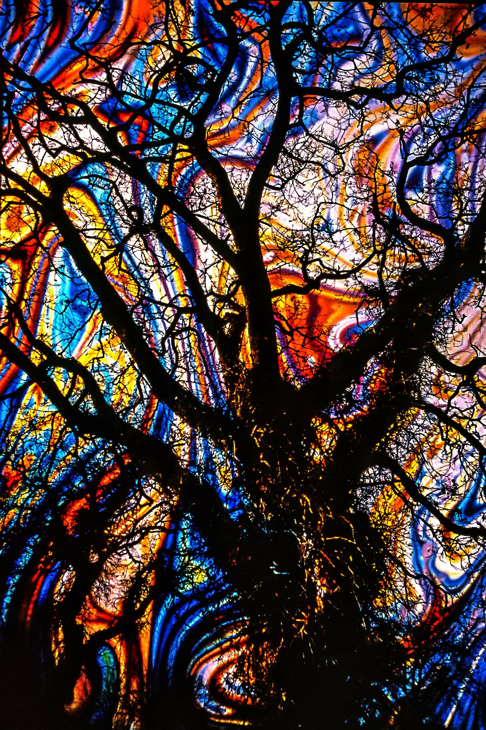 l'albero del bosco incantato