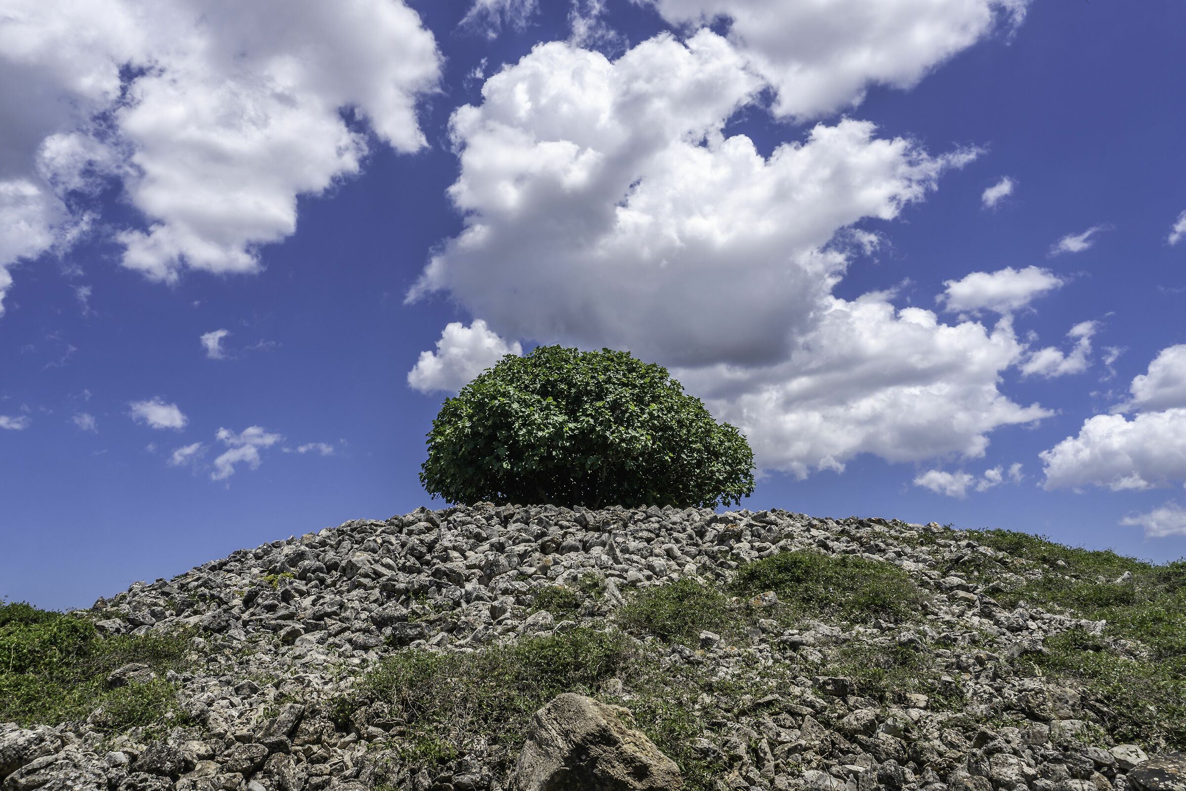 La Mirror of The Moors or Segla ù demonìu