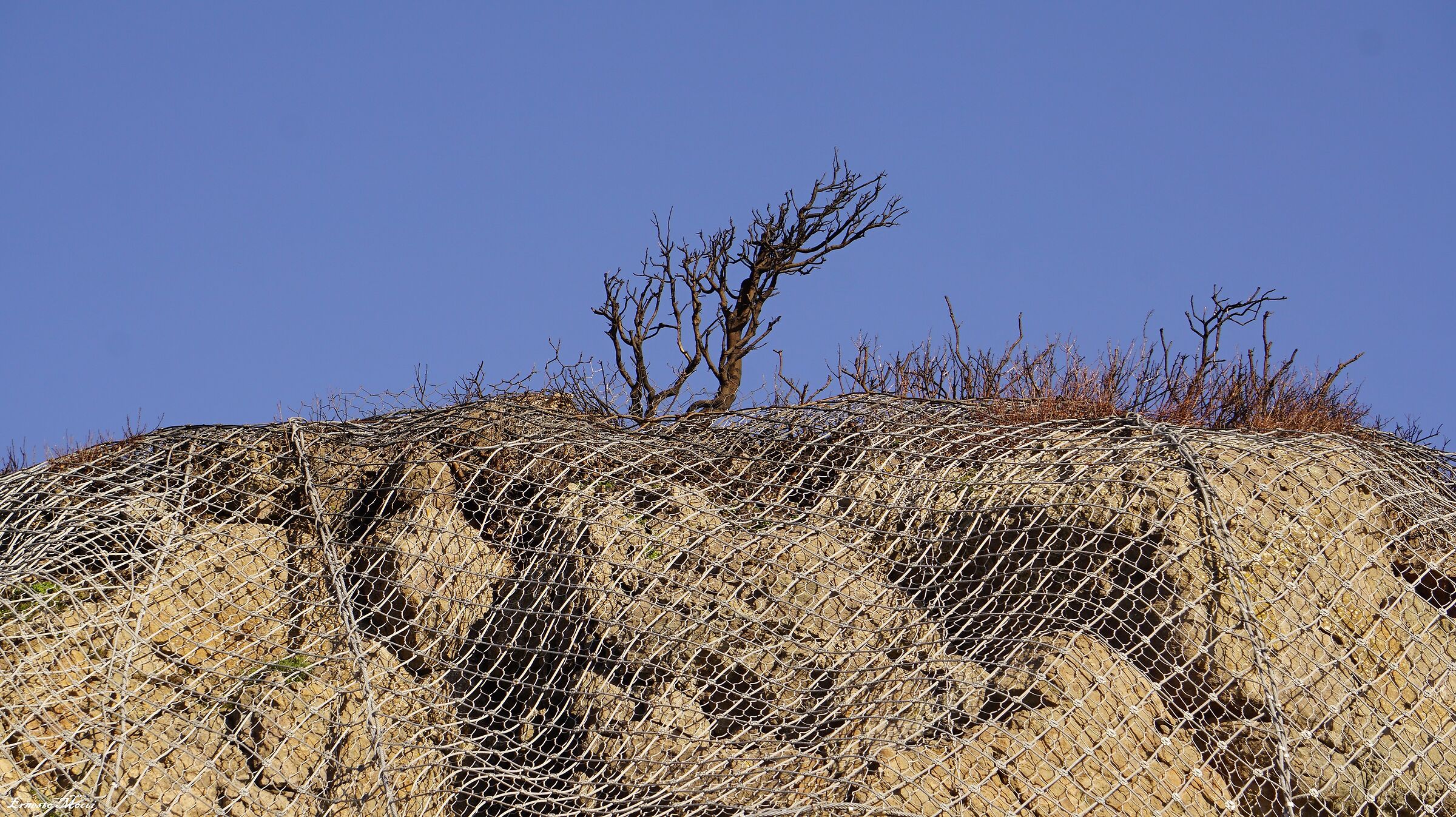 I sing to me Australia