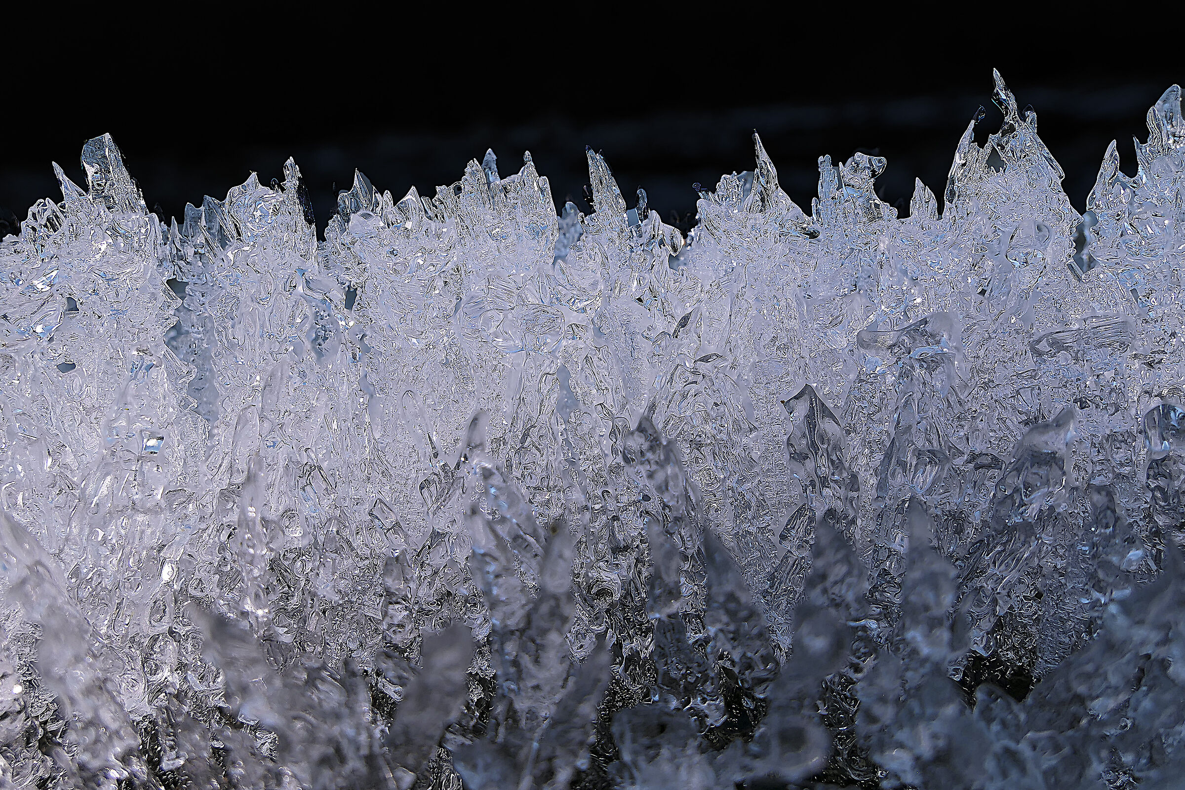 Ice formations on trunk