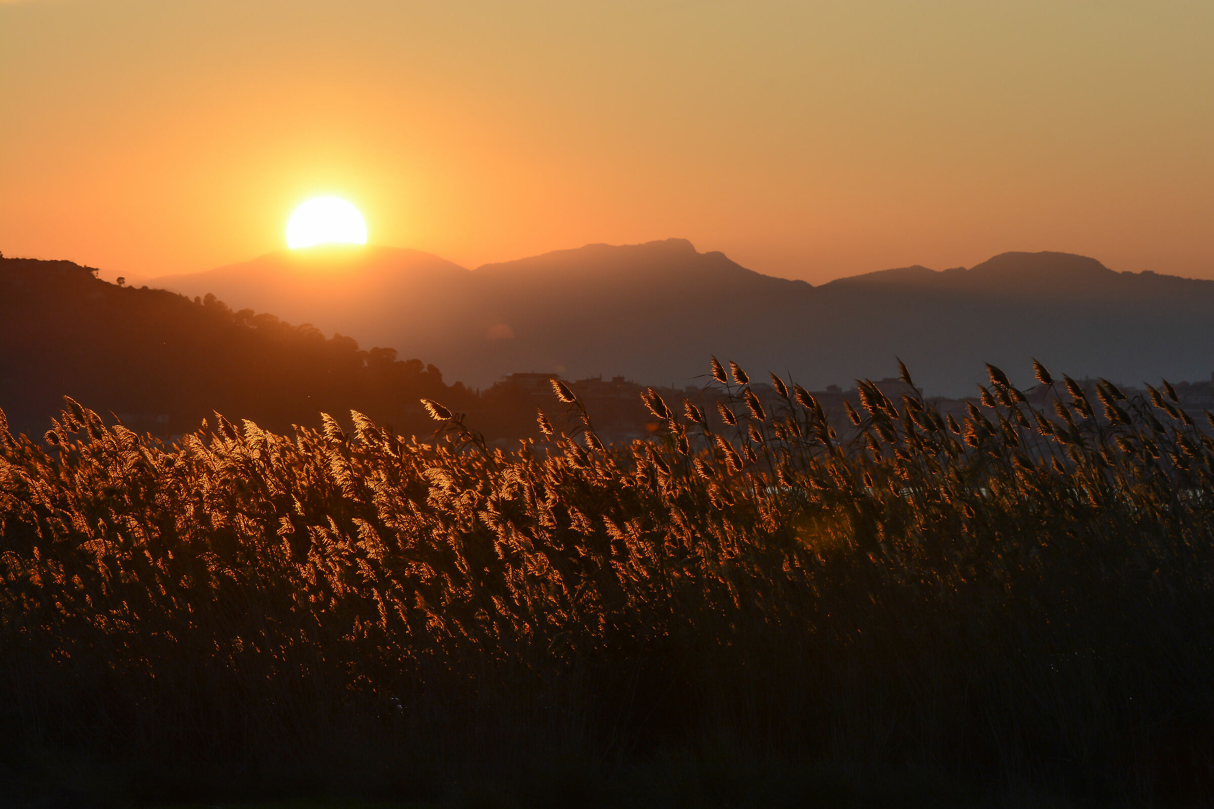 Tramonto nel Parco di Molentargius