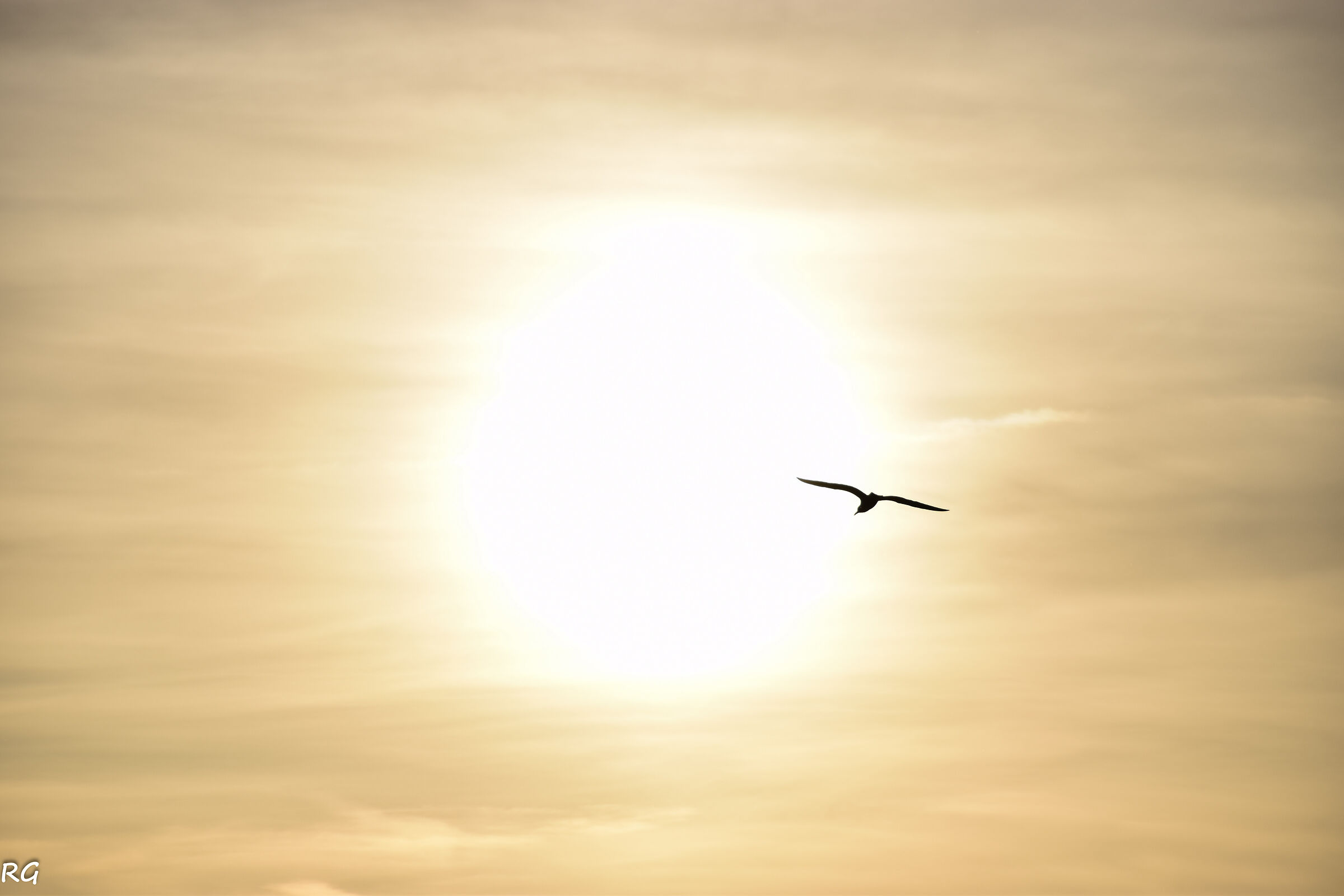 Volare verso l'orizzonte