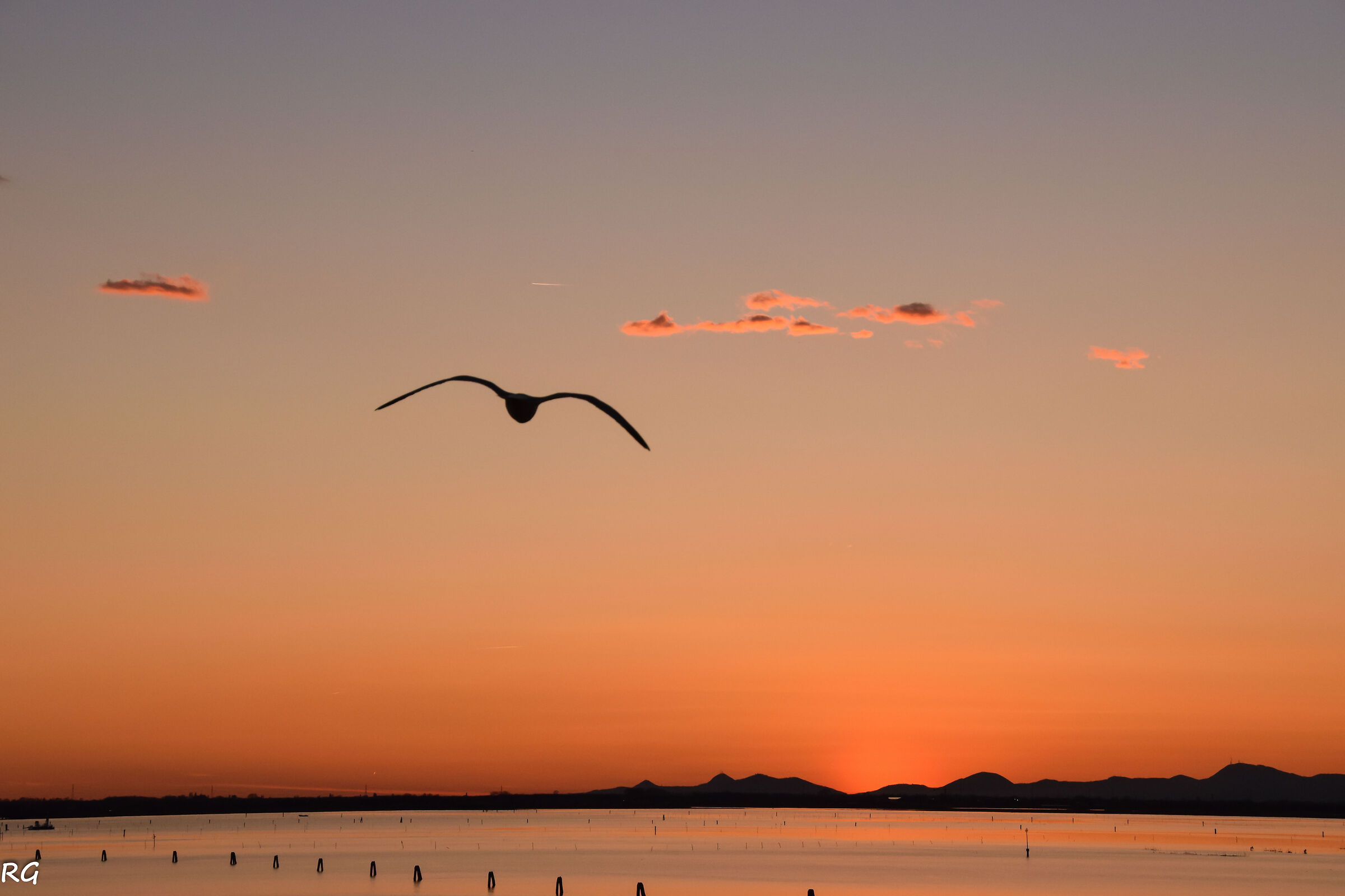 Volare verso il tramonto