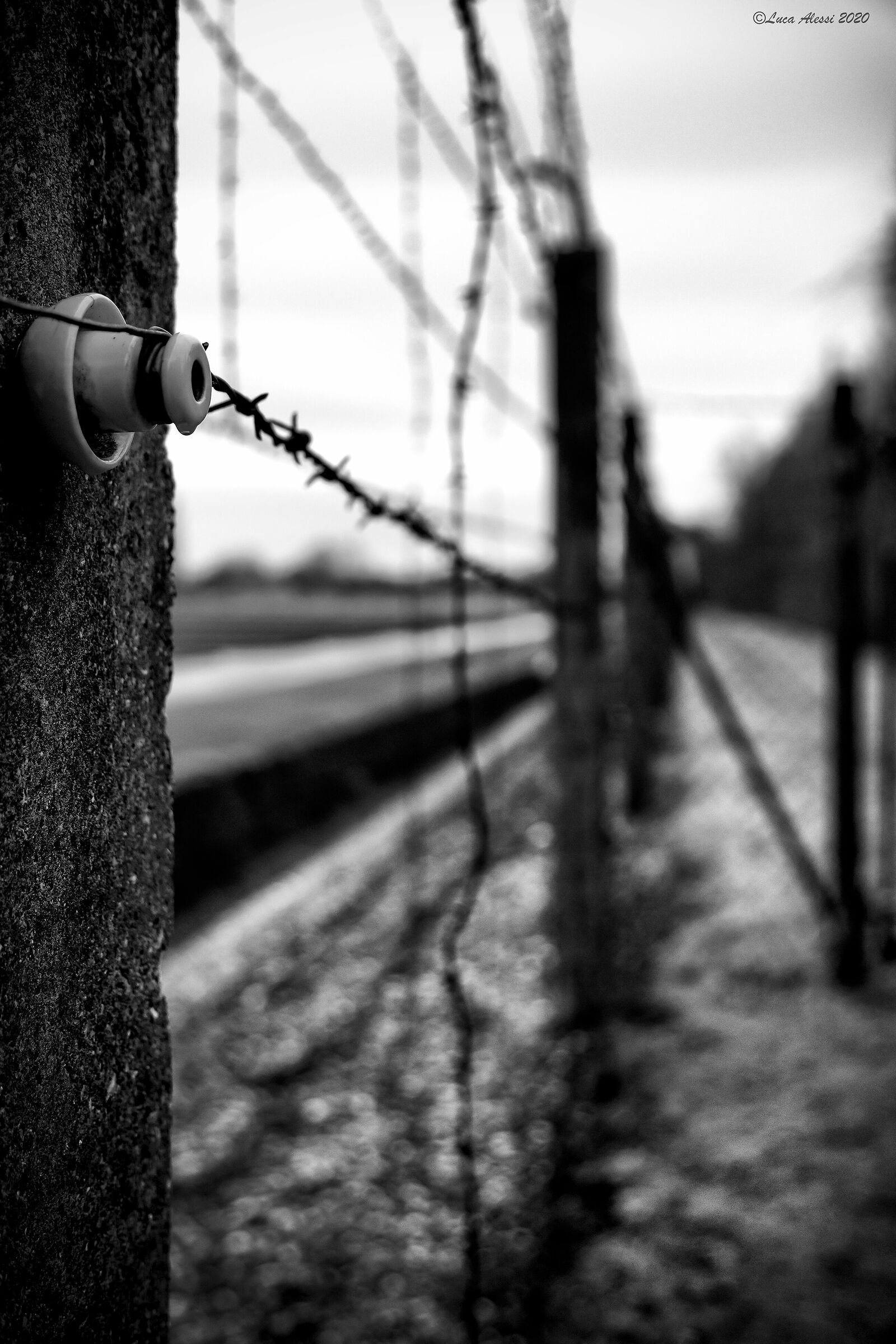 Inhuman lucid madness