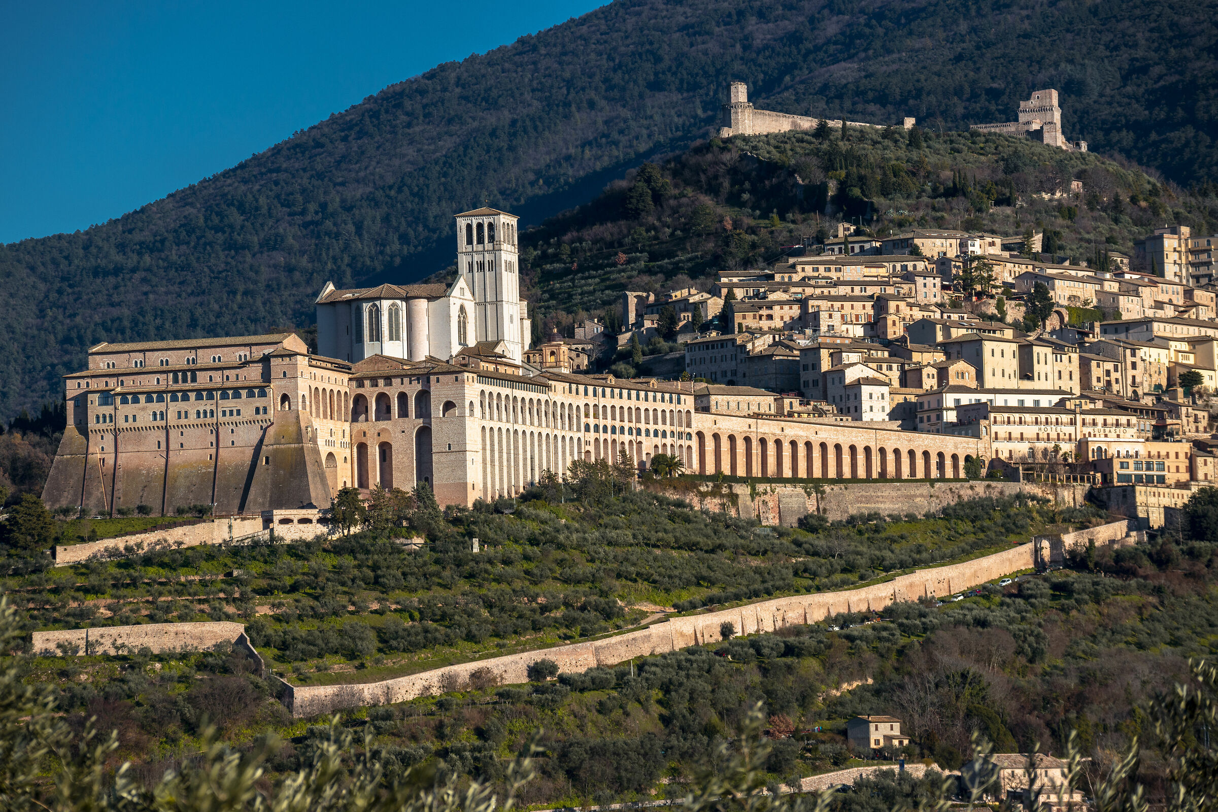 Assisi (Basilica in the light of sunset)