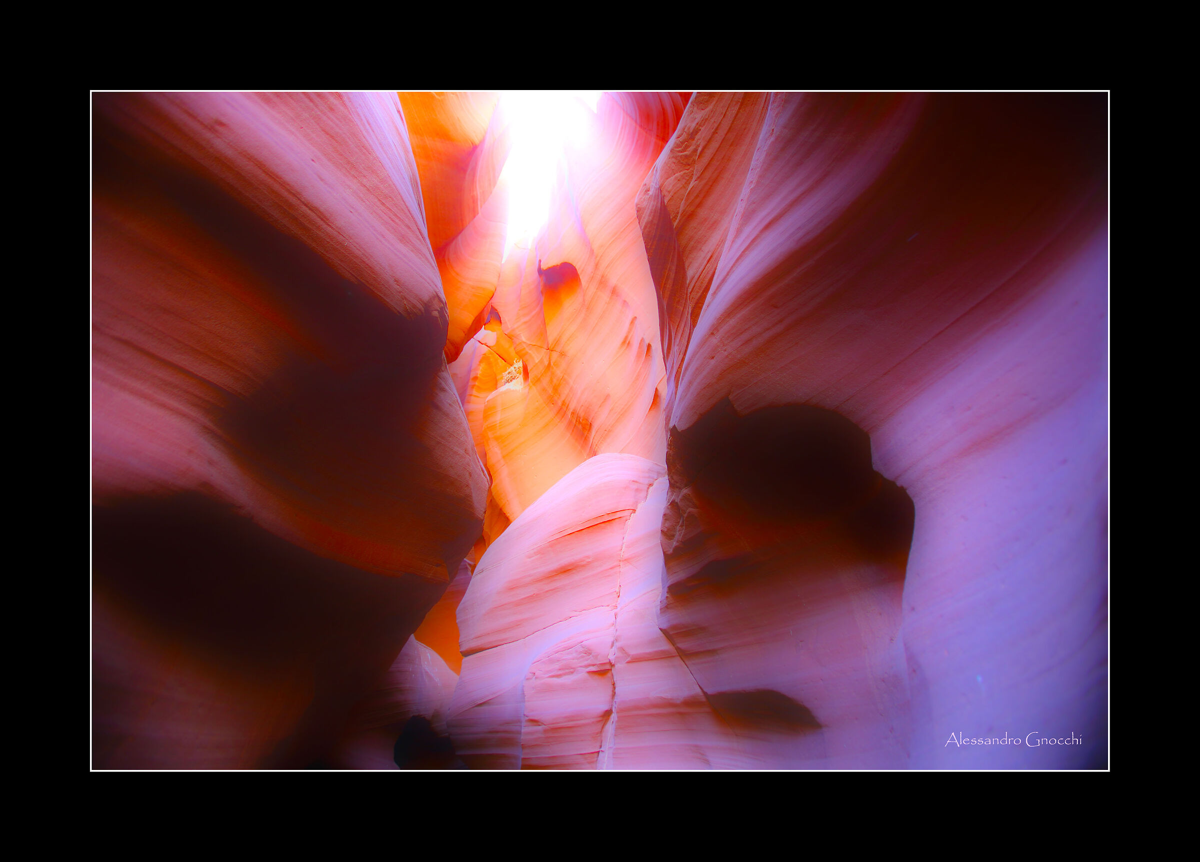 My personal Antelope