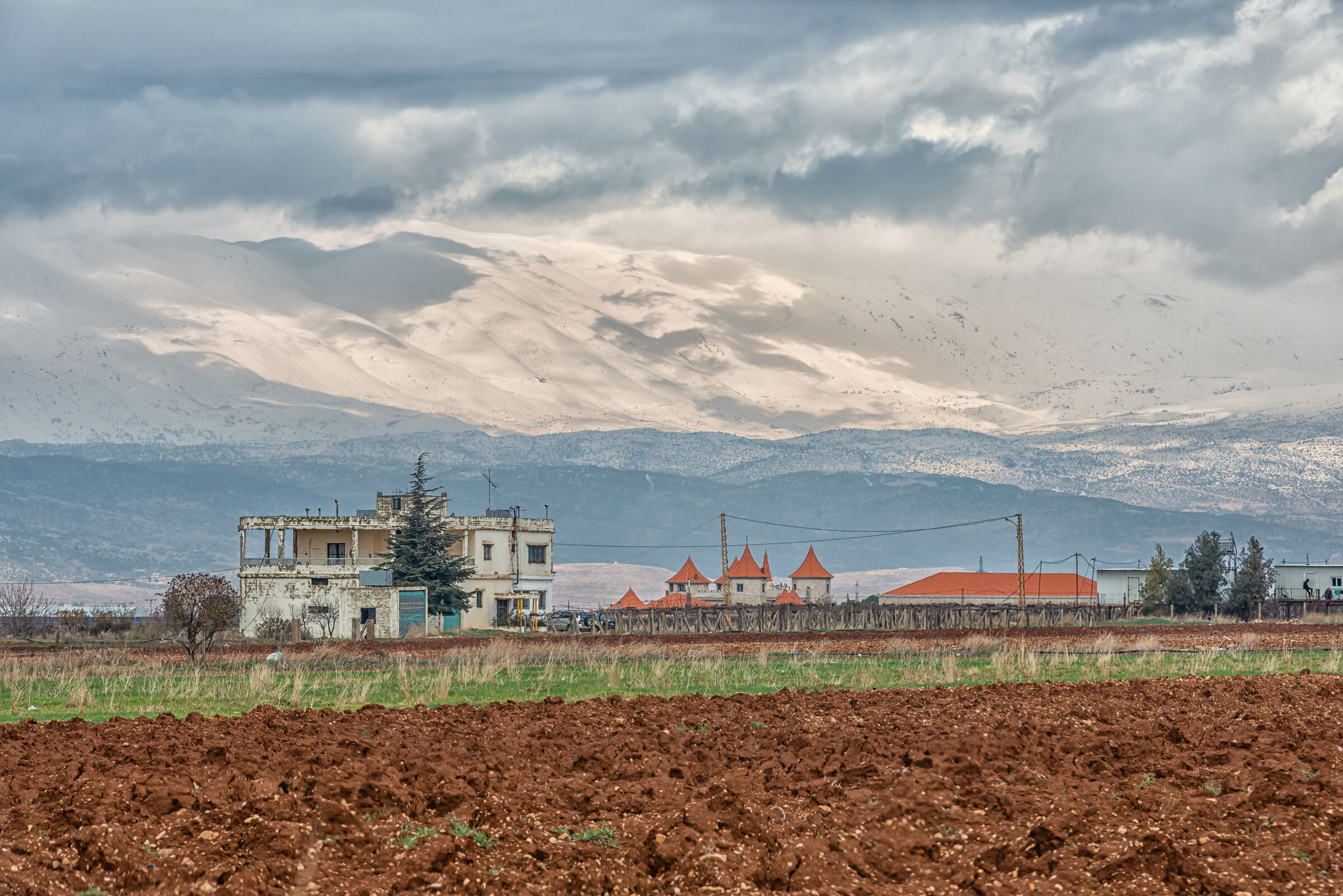 The House in the Al Karem