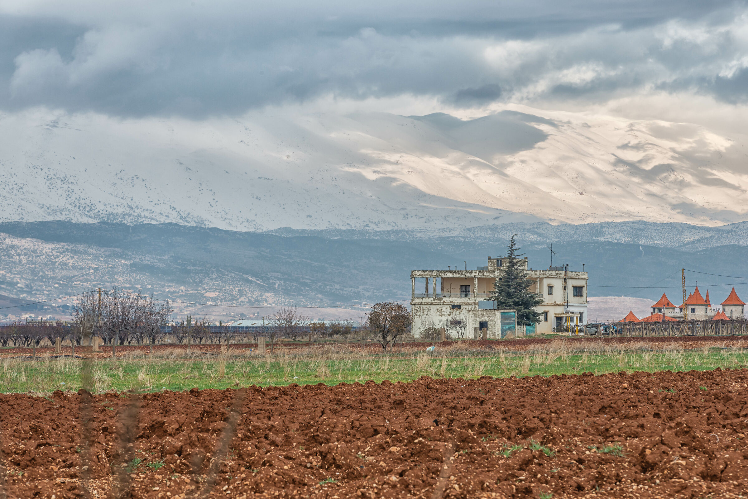 The House in the Al Karem