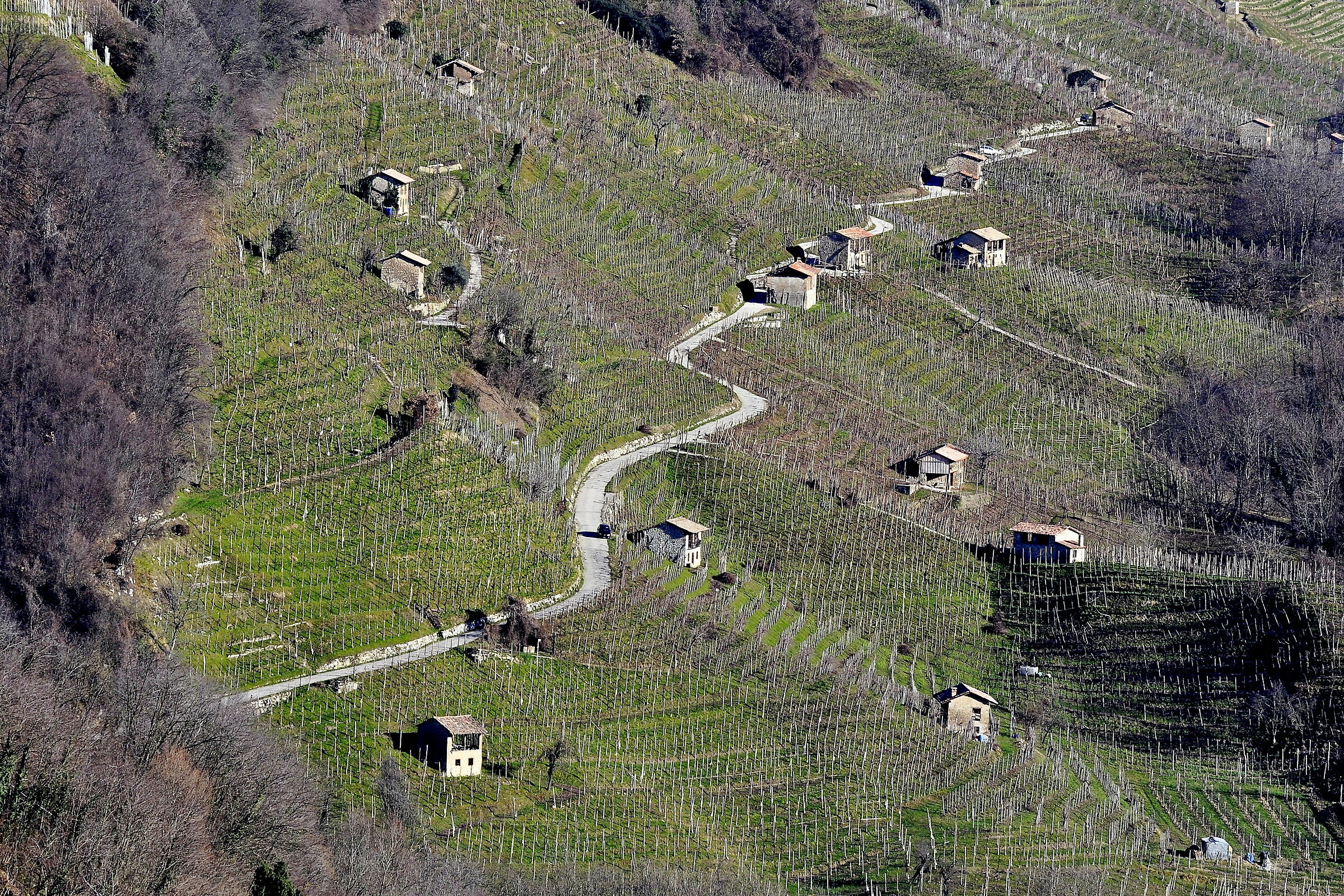 Le colline del Verdisio