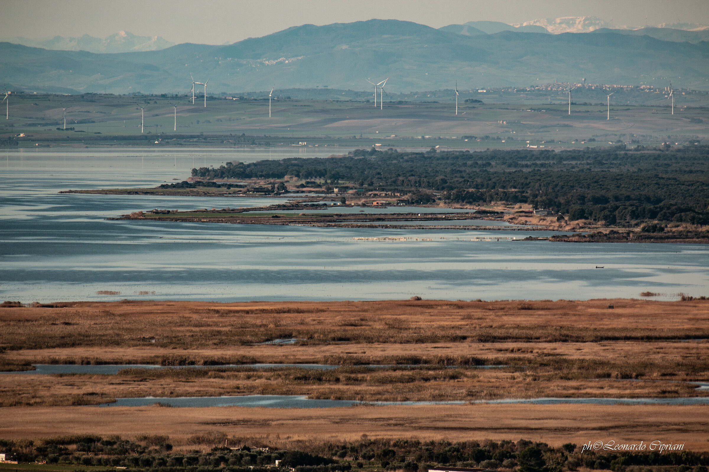 Lago di Lesina e Bosco isola