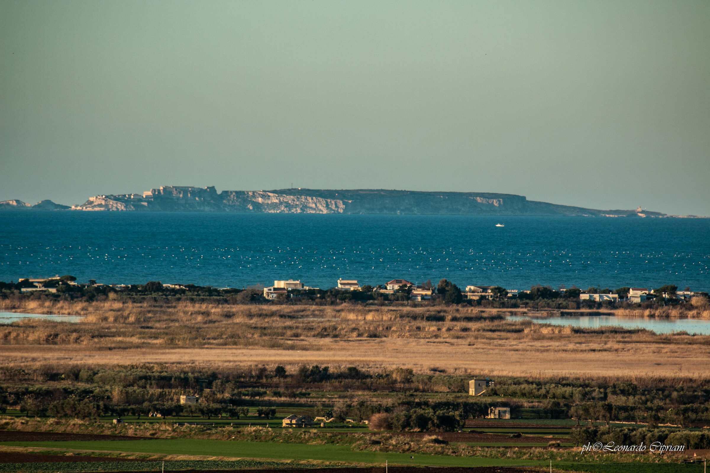 Ris. nat. di Pop. Anim. di Lesina, Is. Tremiti (fg)