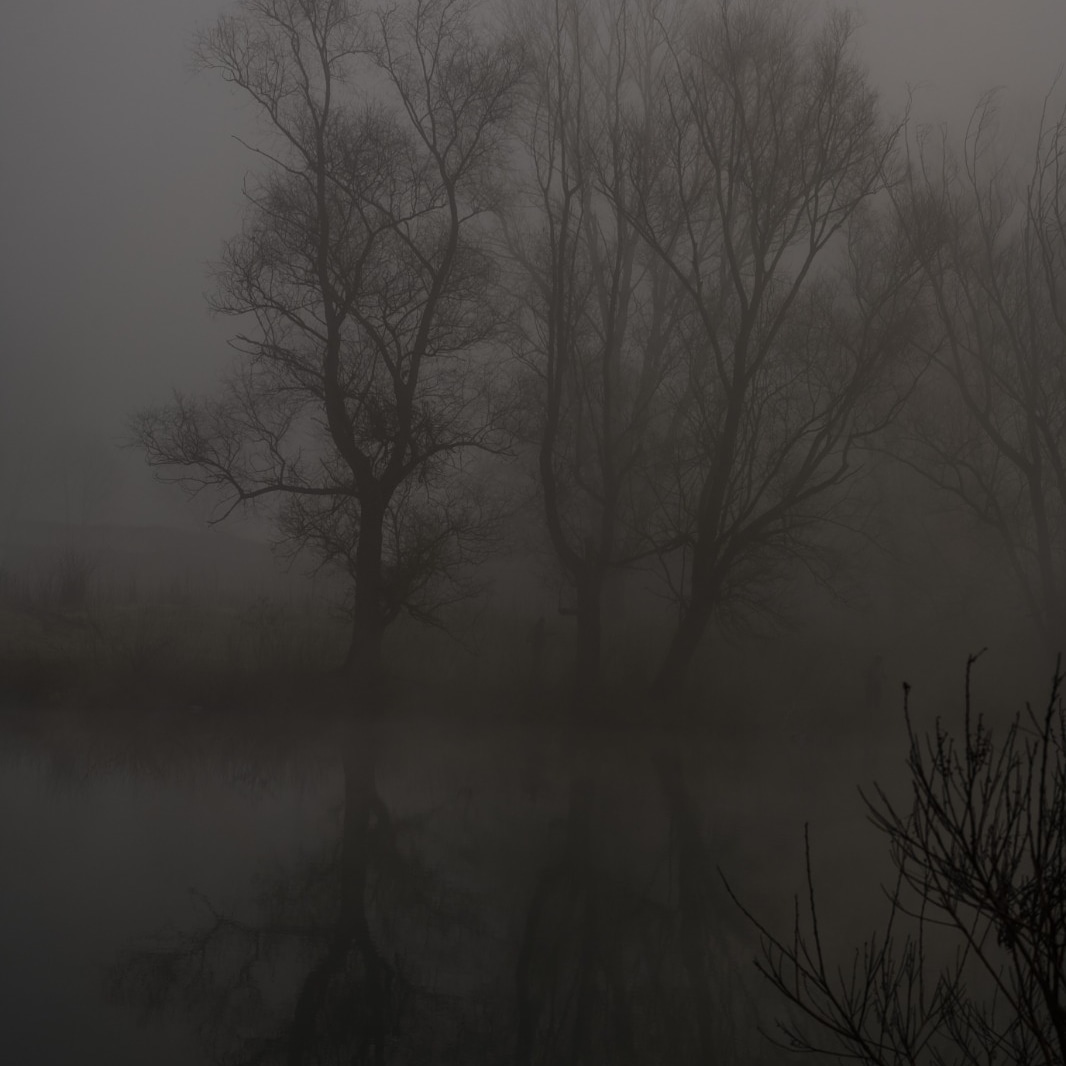 Reflections in the fog