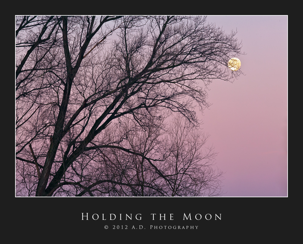 Holding the Moon