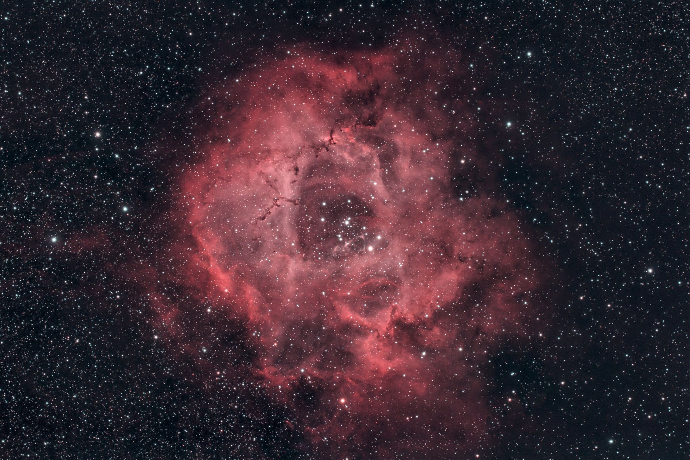Nebulosa Rosetta