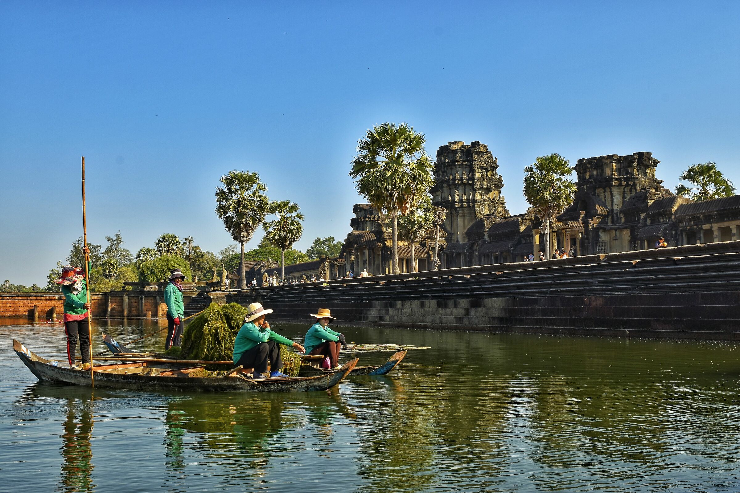 Pulitrici di alghe - Angkor Wat, Siem Reap
