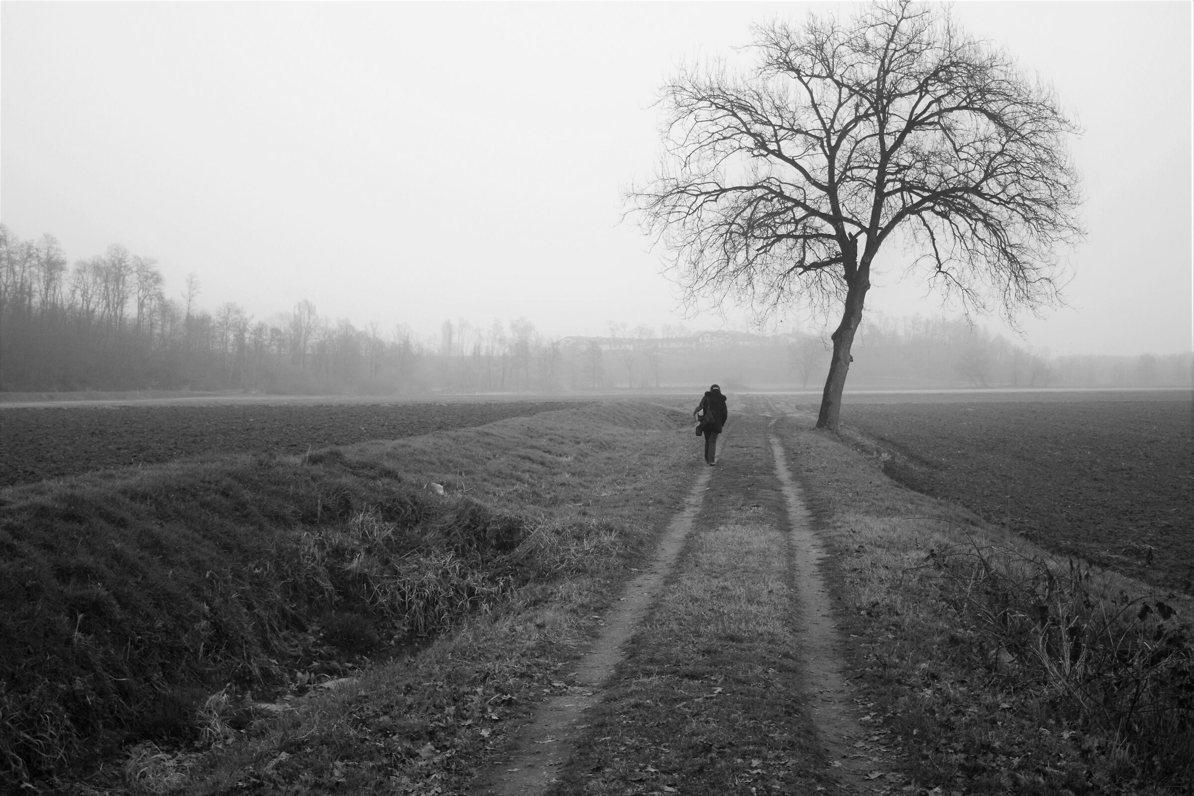 Santa Sofia - Inverno