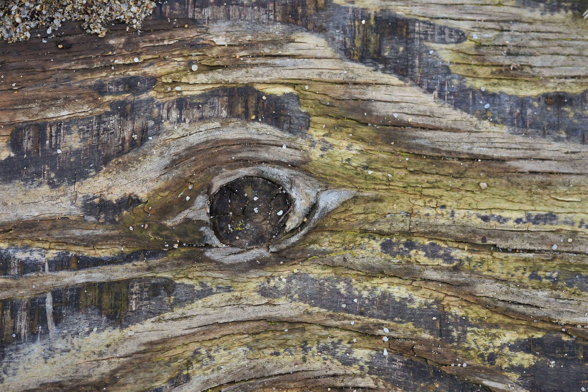 A look ... to open 2020