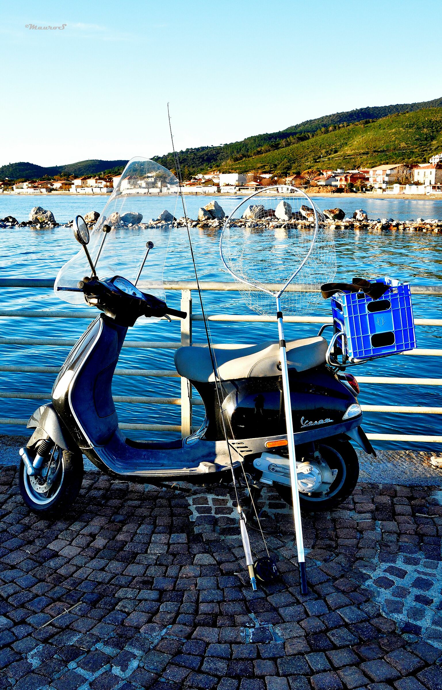 la Vespa pescatrice