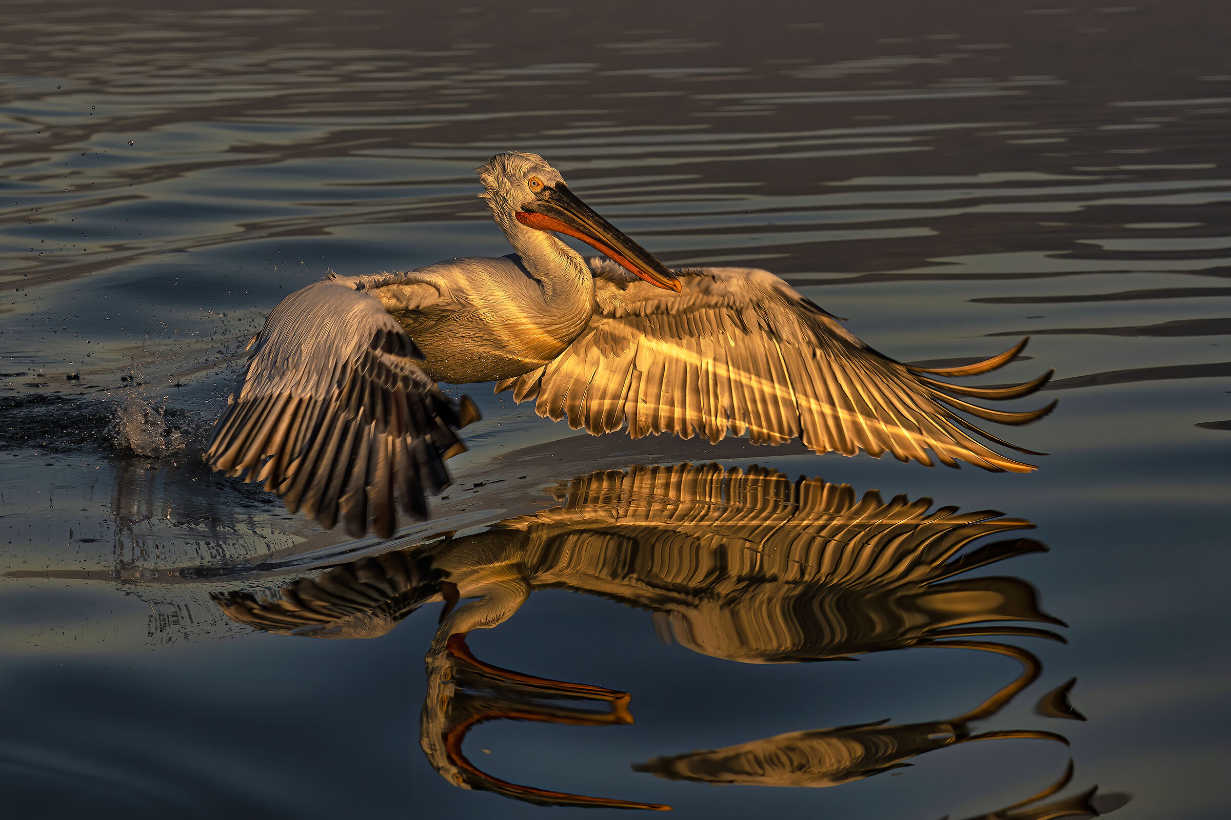 Take off in a mirror