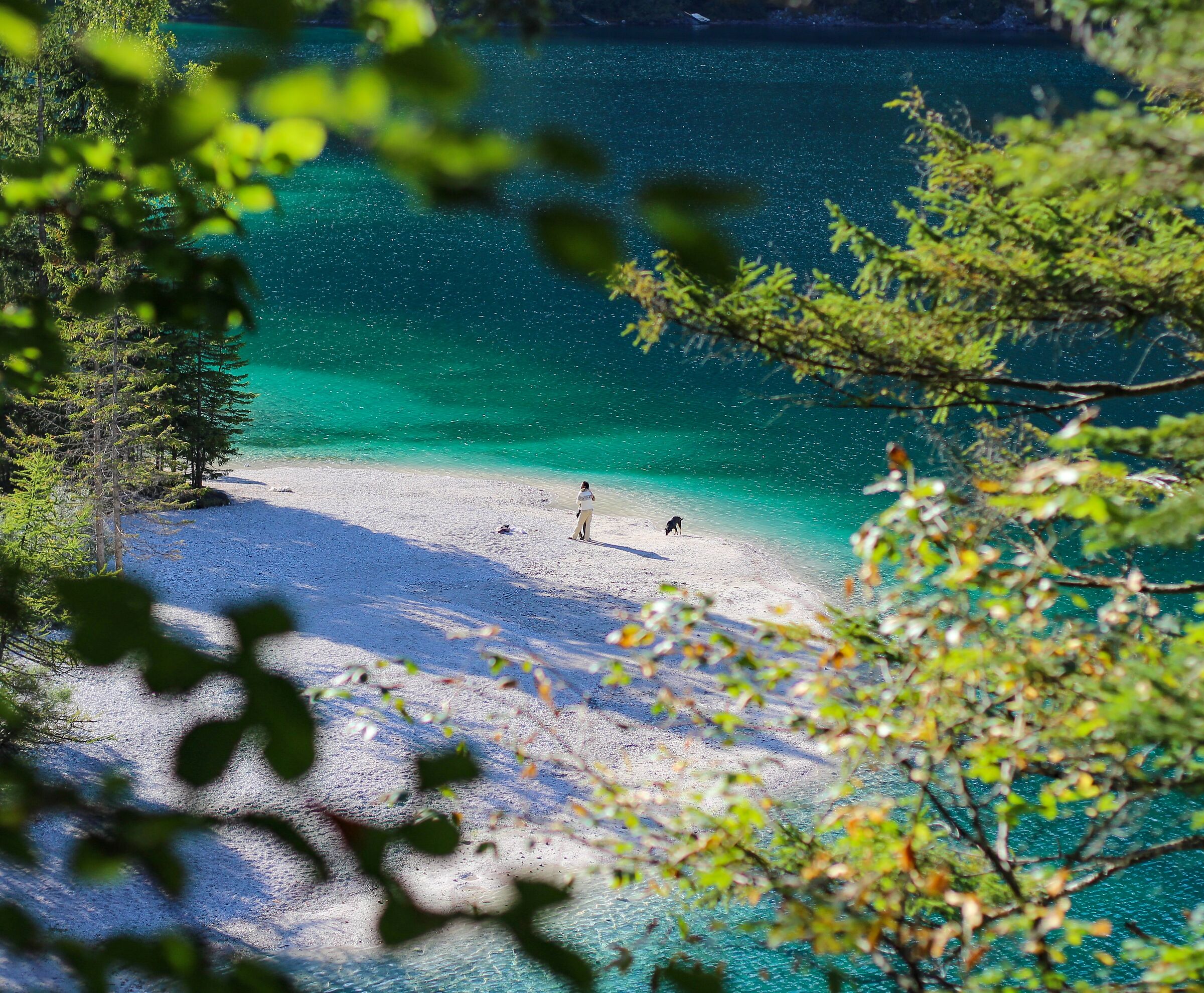Fu un amore a prima vista, a ultima vista, a eterna vis