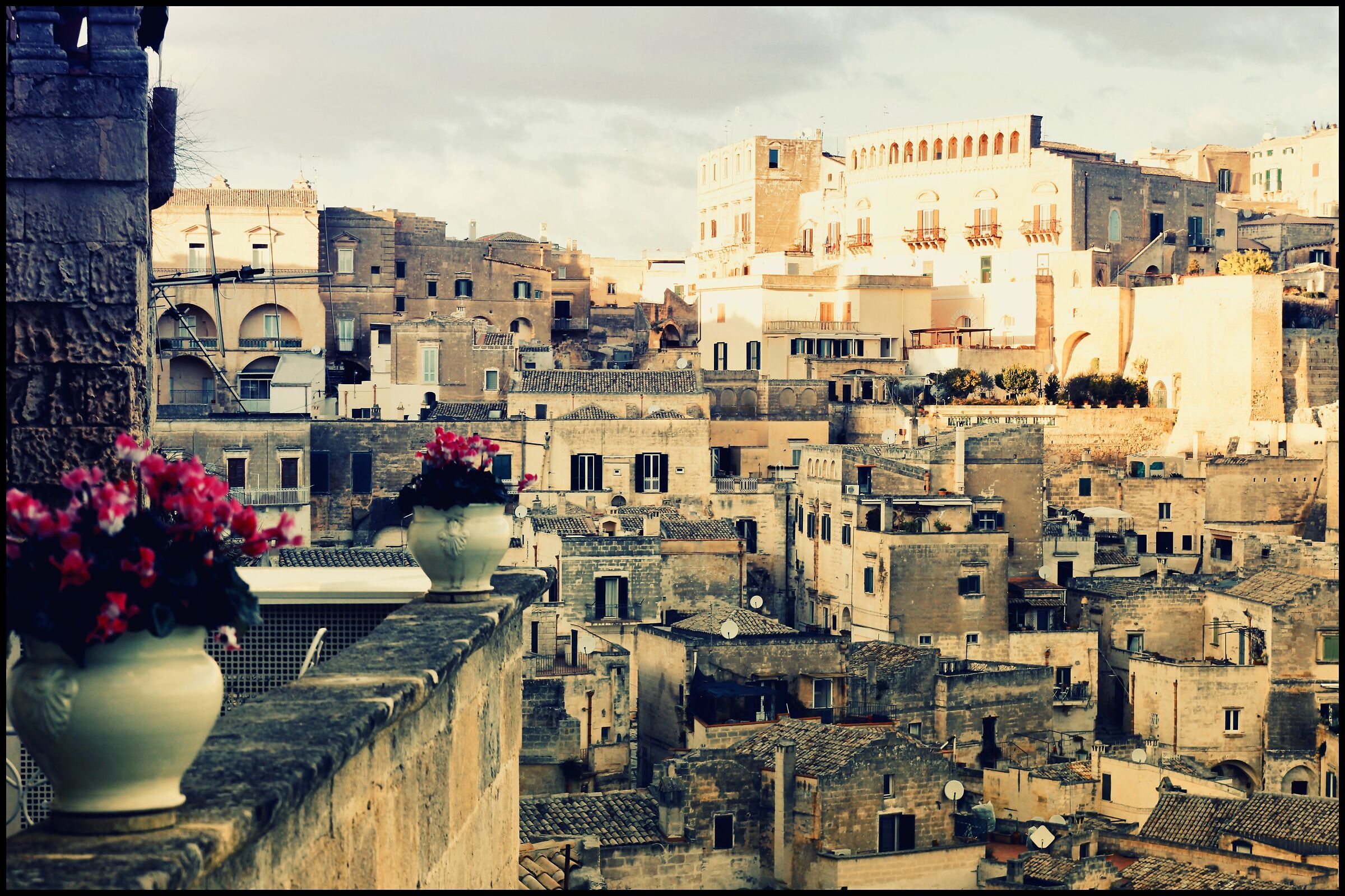 Flowers in the Sassi