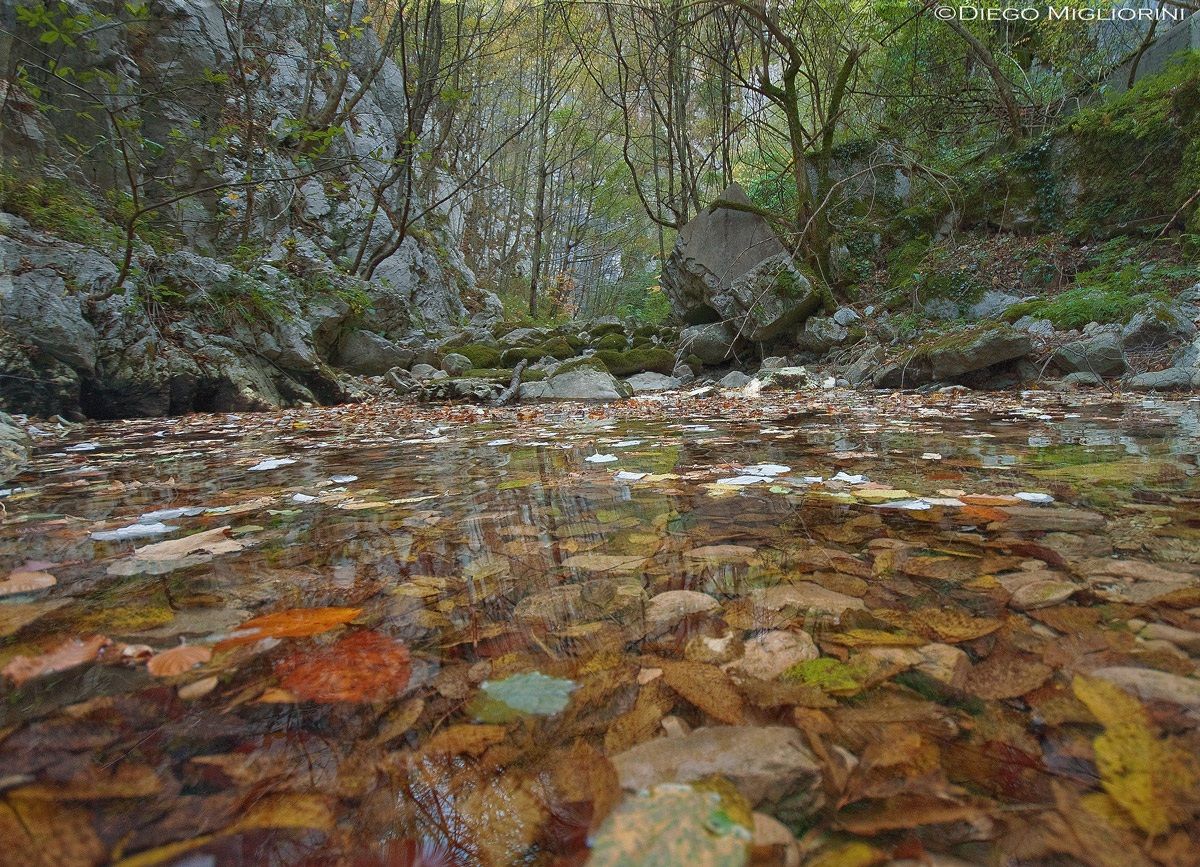 Cape River, Trisulti (Fr)