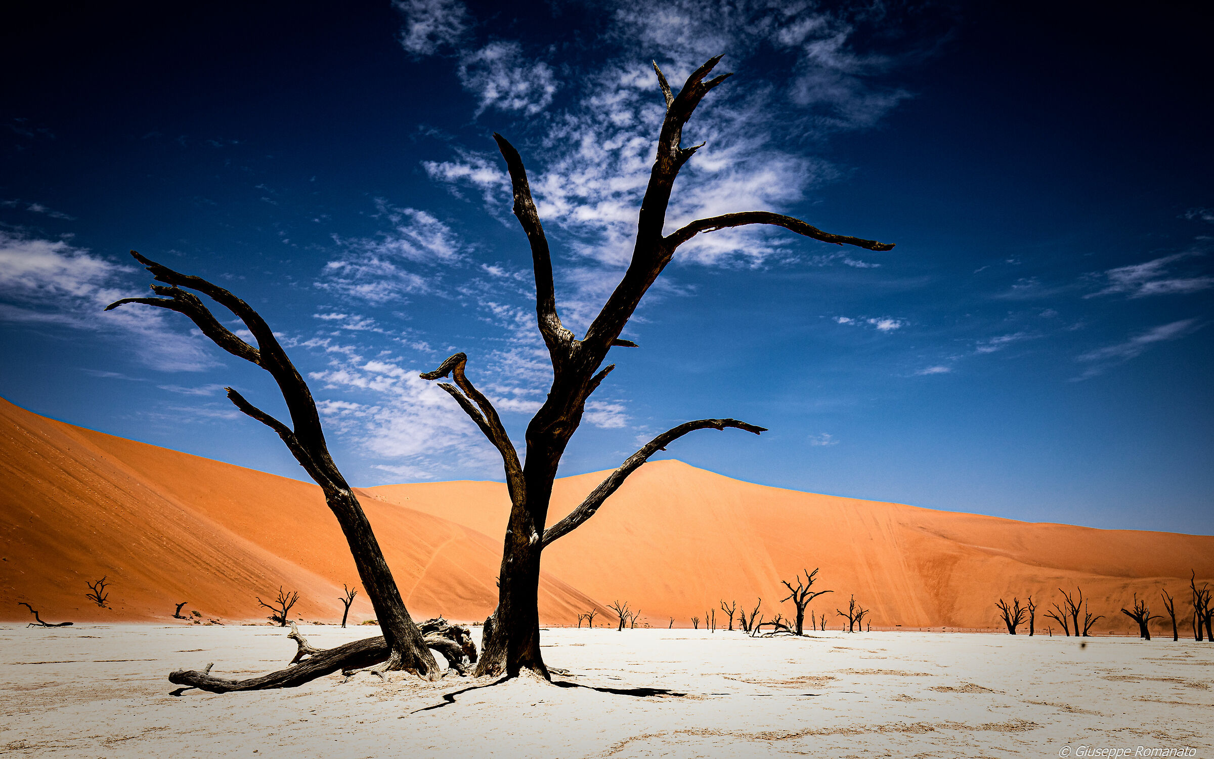Sossusvlei. A mezzodi'.